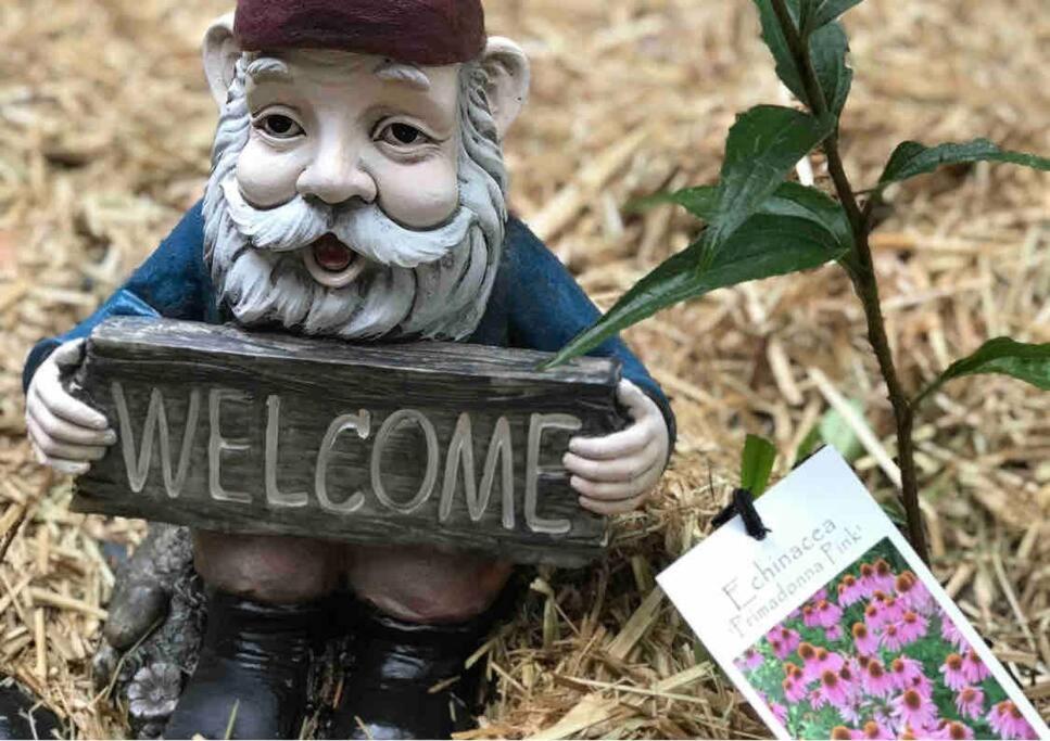 Tullys Hut - Walk to Hikes & Dog Friendly Adventures!