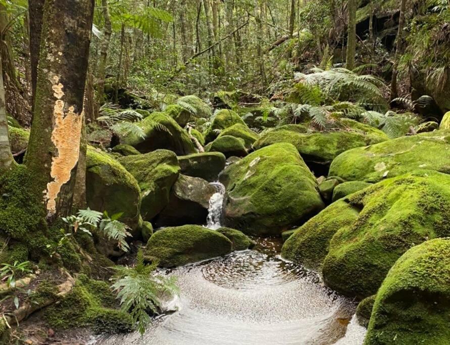 Tullys Hut - Walk to Hikes & Dog Friendly Adventures!