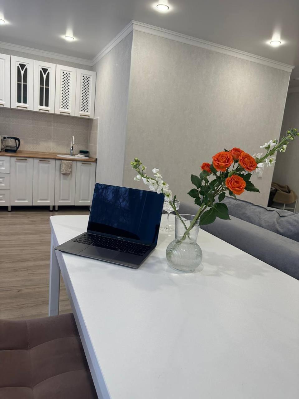 Luxe Apartment view 4