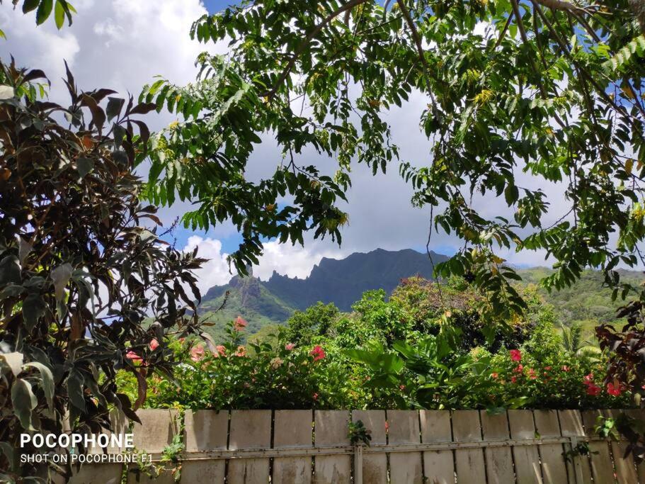 Pihaena lagon view 4