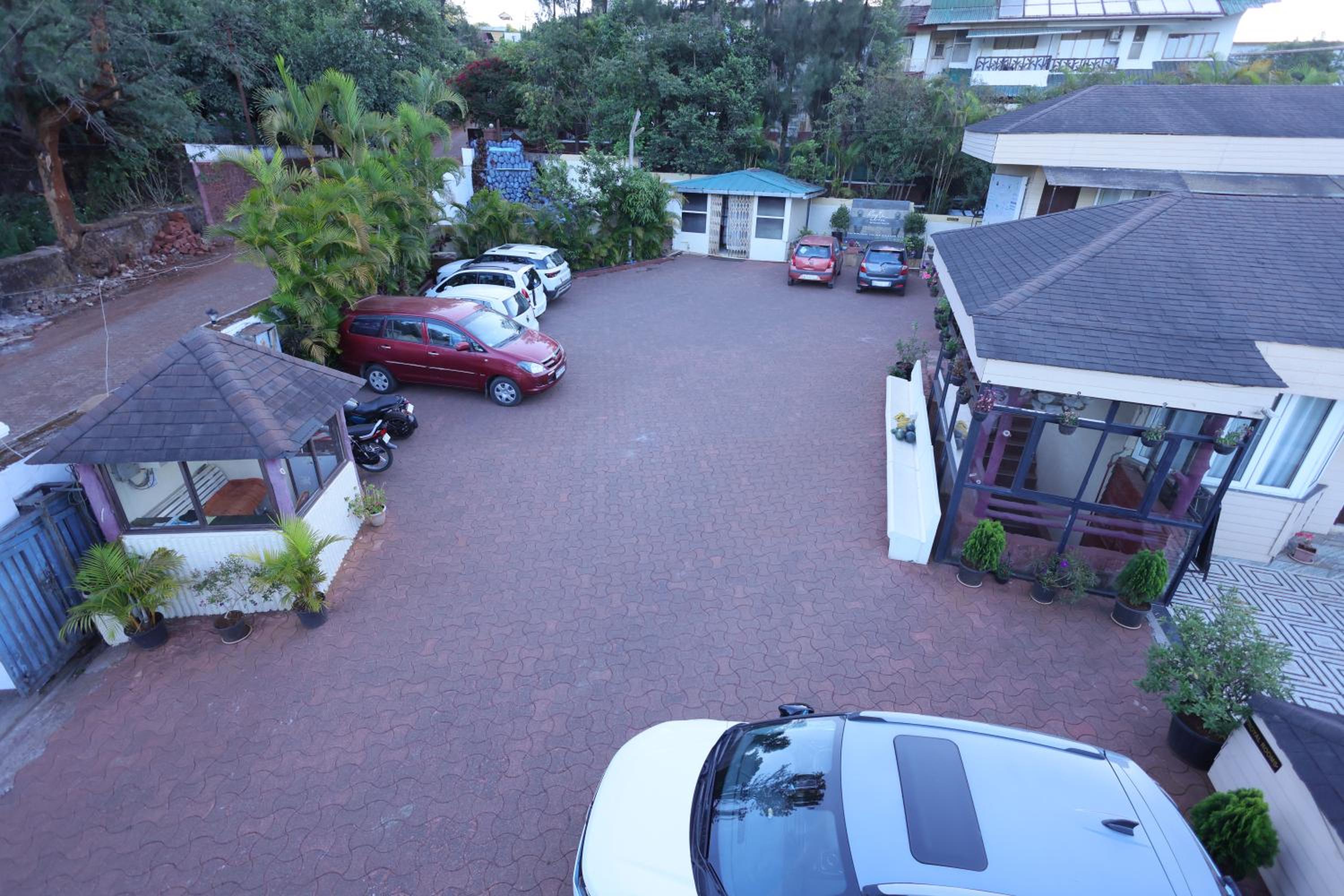Photo 7