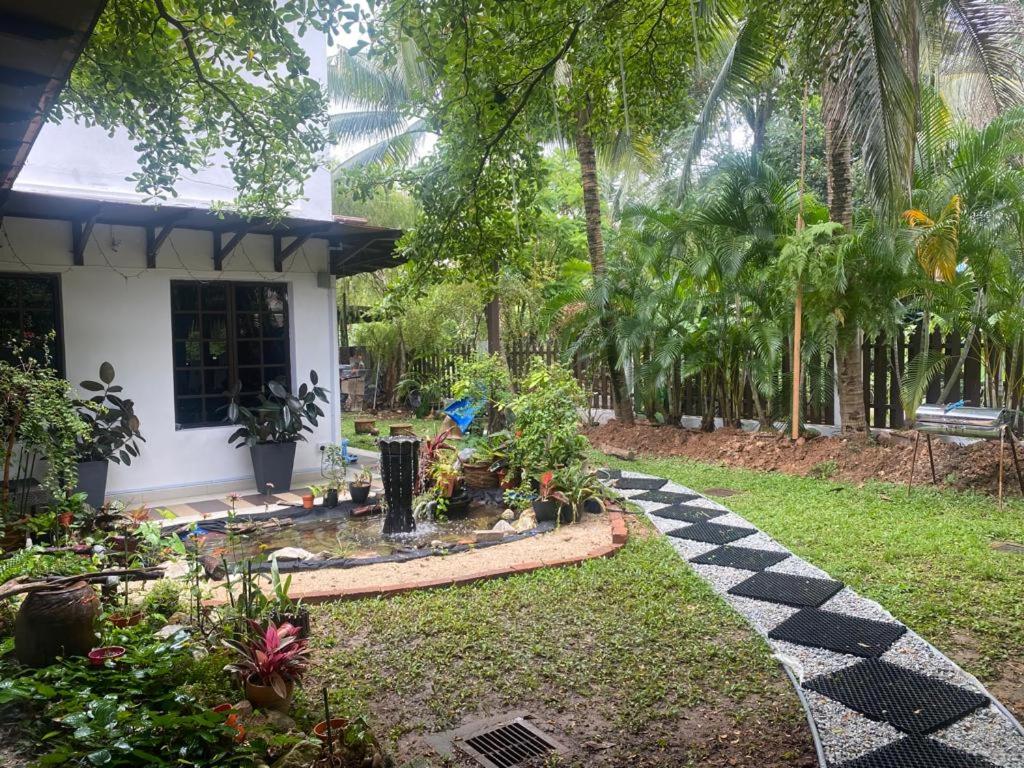 Aika Homestay photo 8
