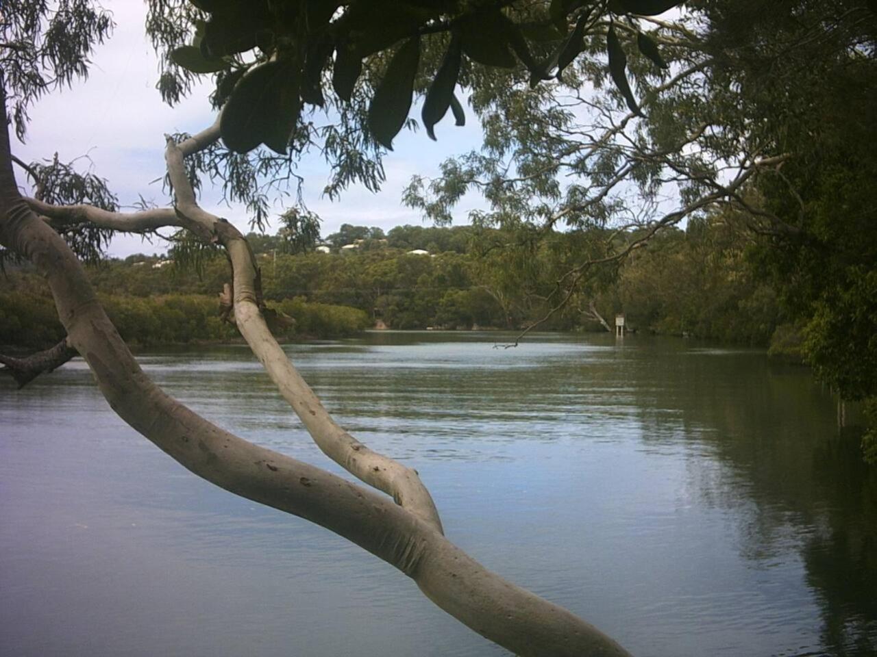 Raes by the river