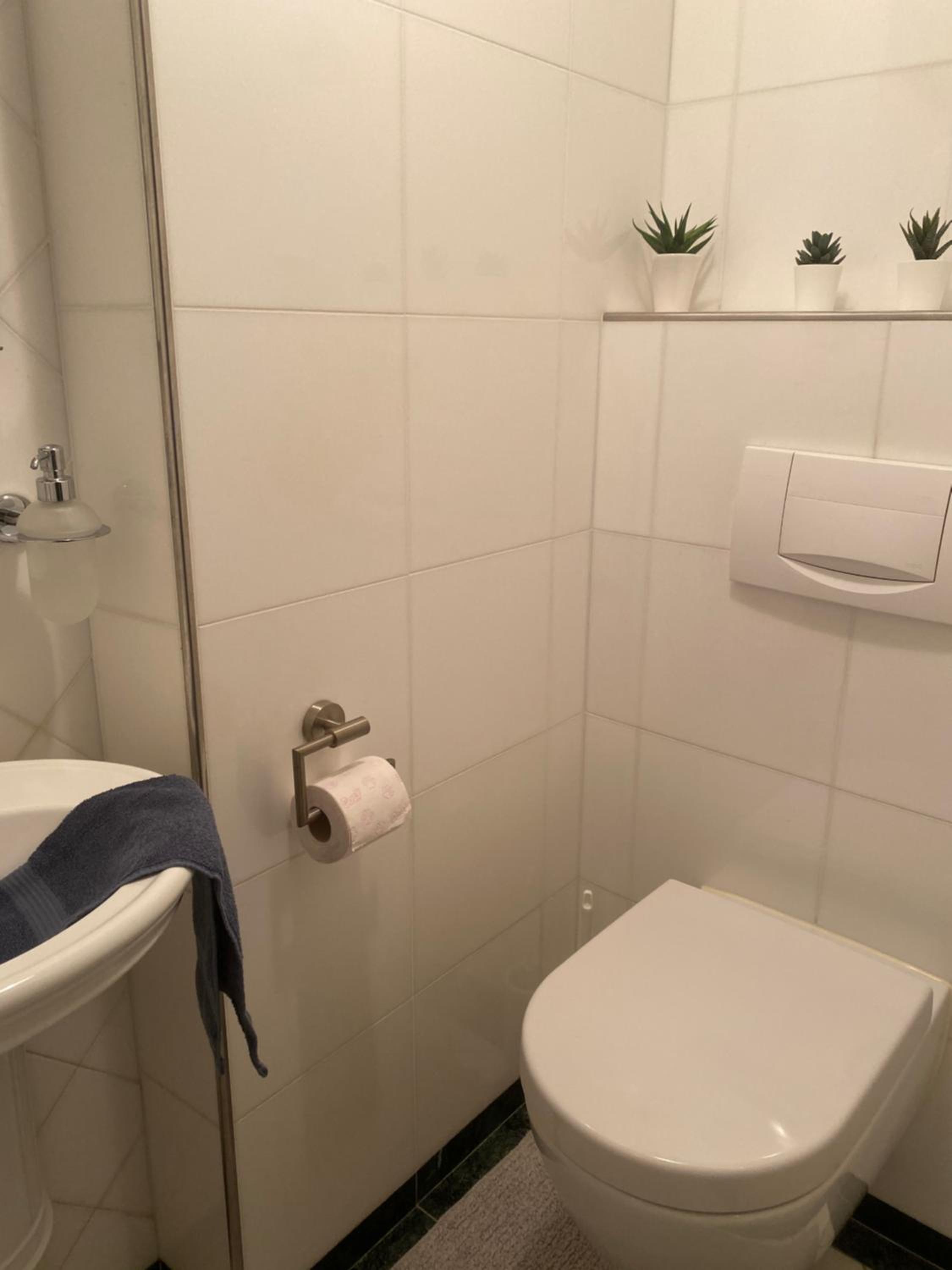 Traumhaft große Ferienwohnung nähe Attersee