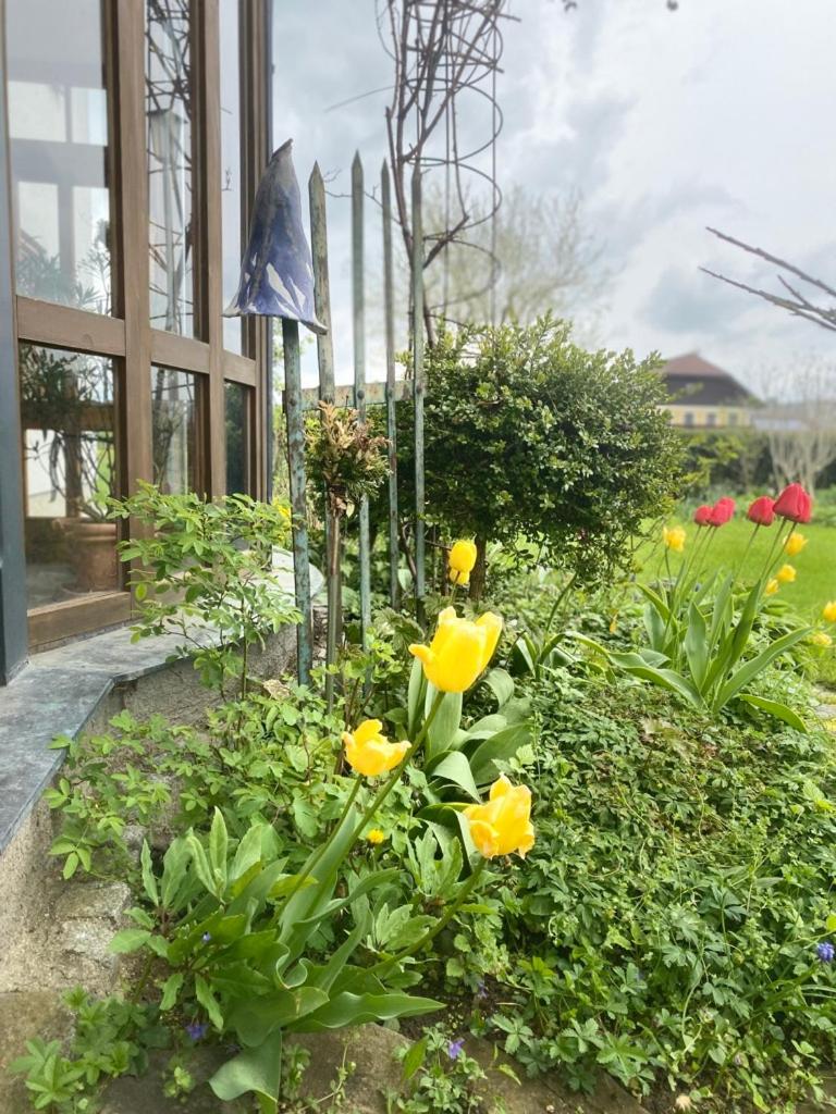 Traumhaft große Ferienwohnung nähe Attersee