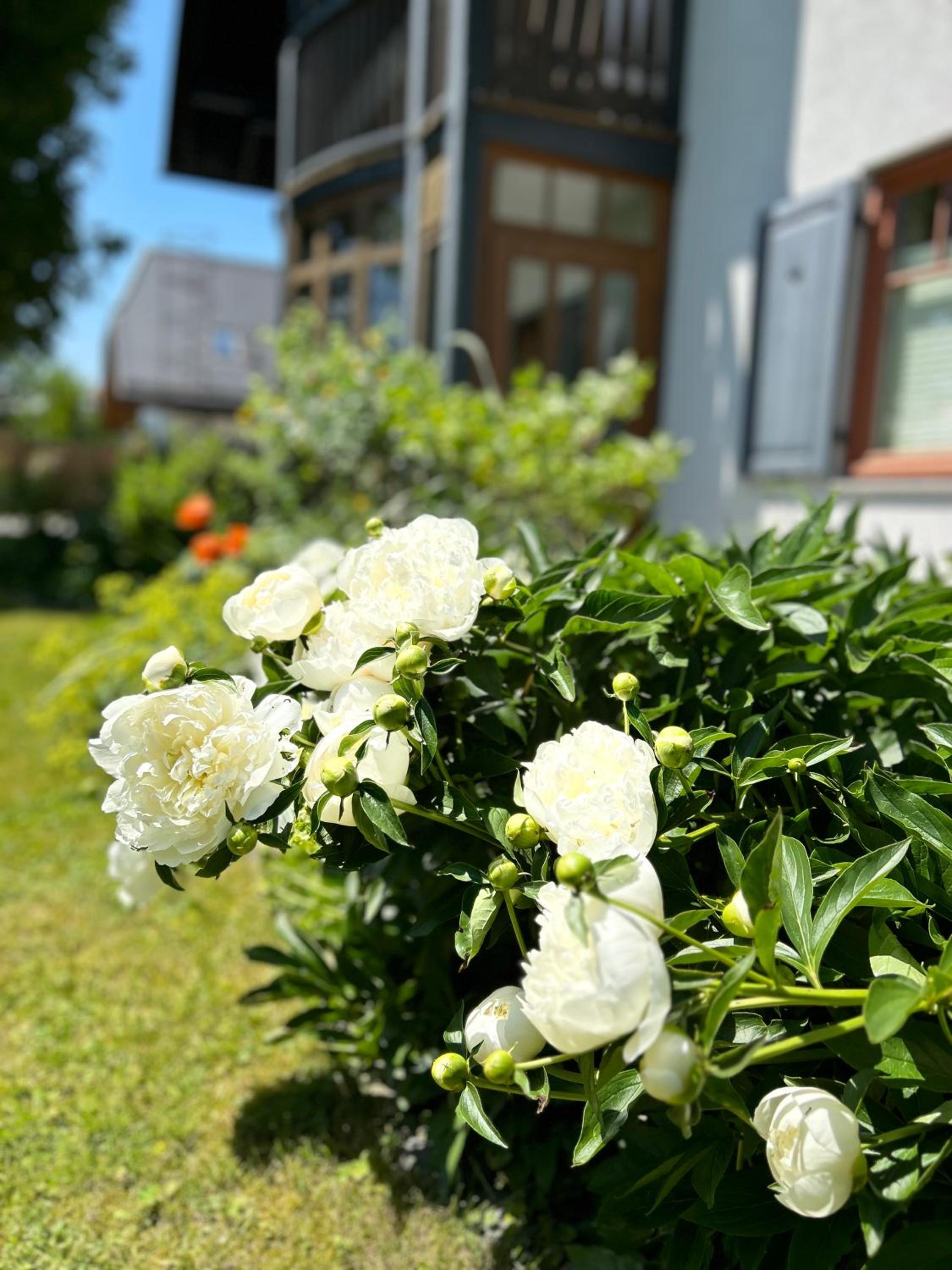 Traumhaft große Ferienwohnung nähe Attersee