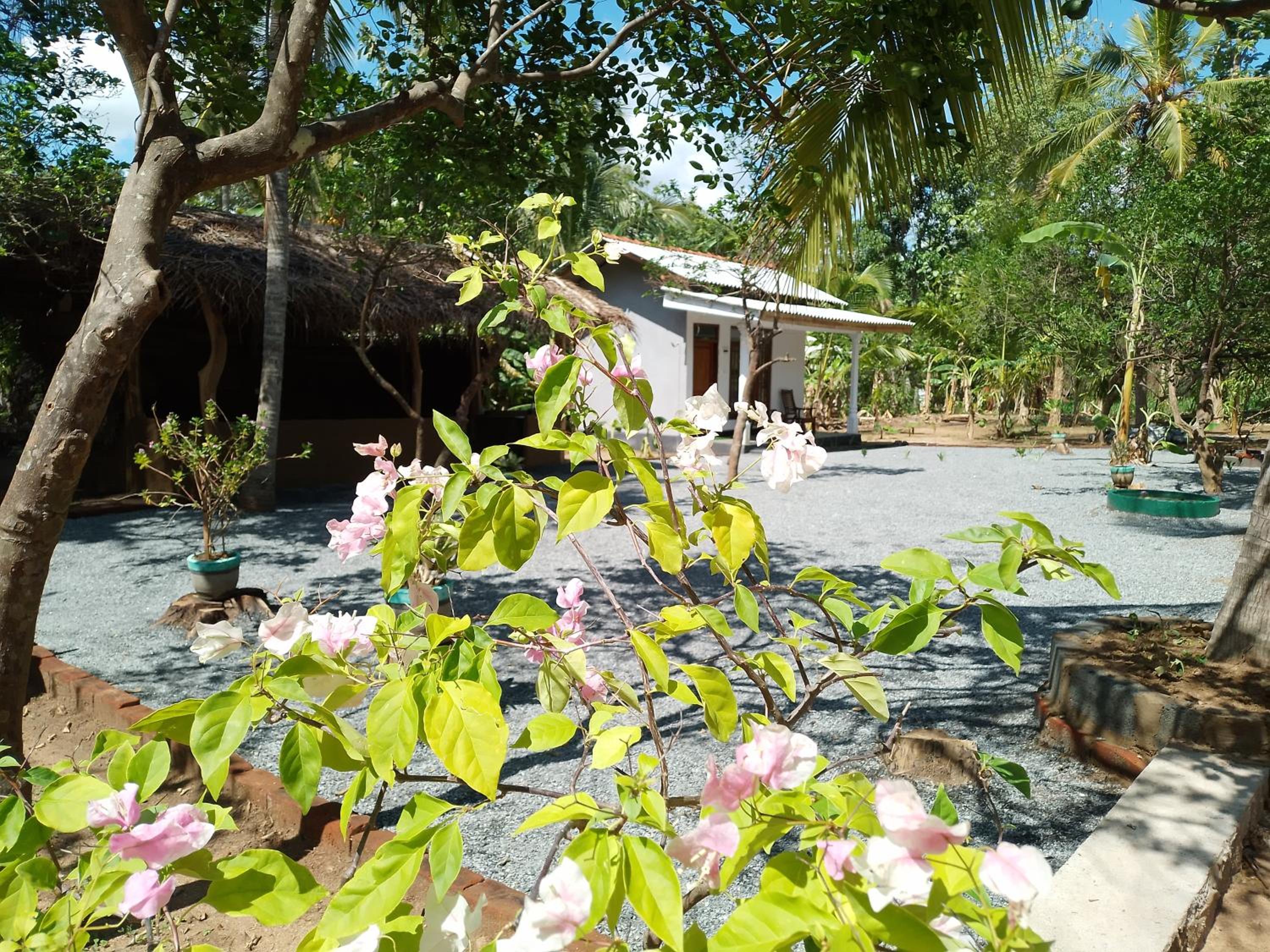 Nirwana Resort