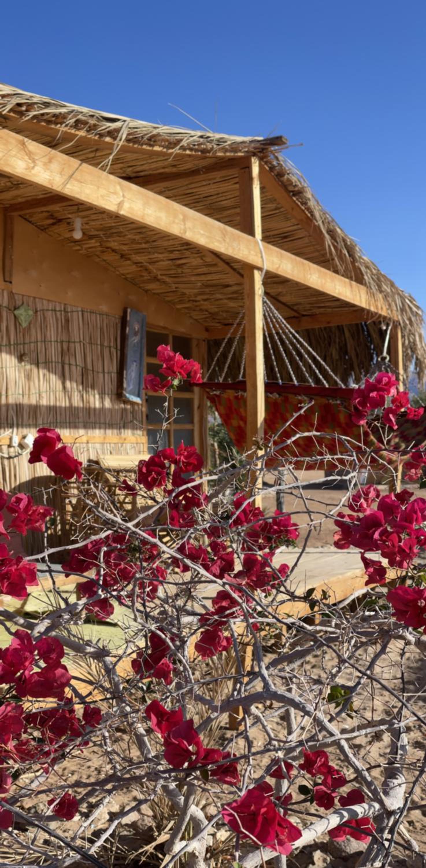 Alwaha Camp