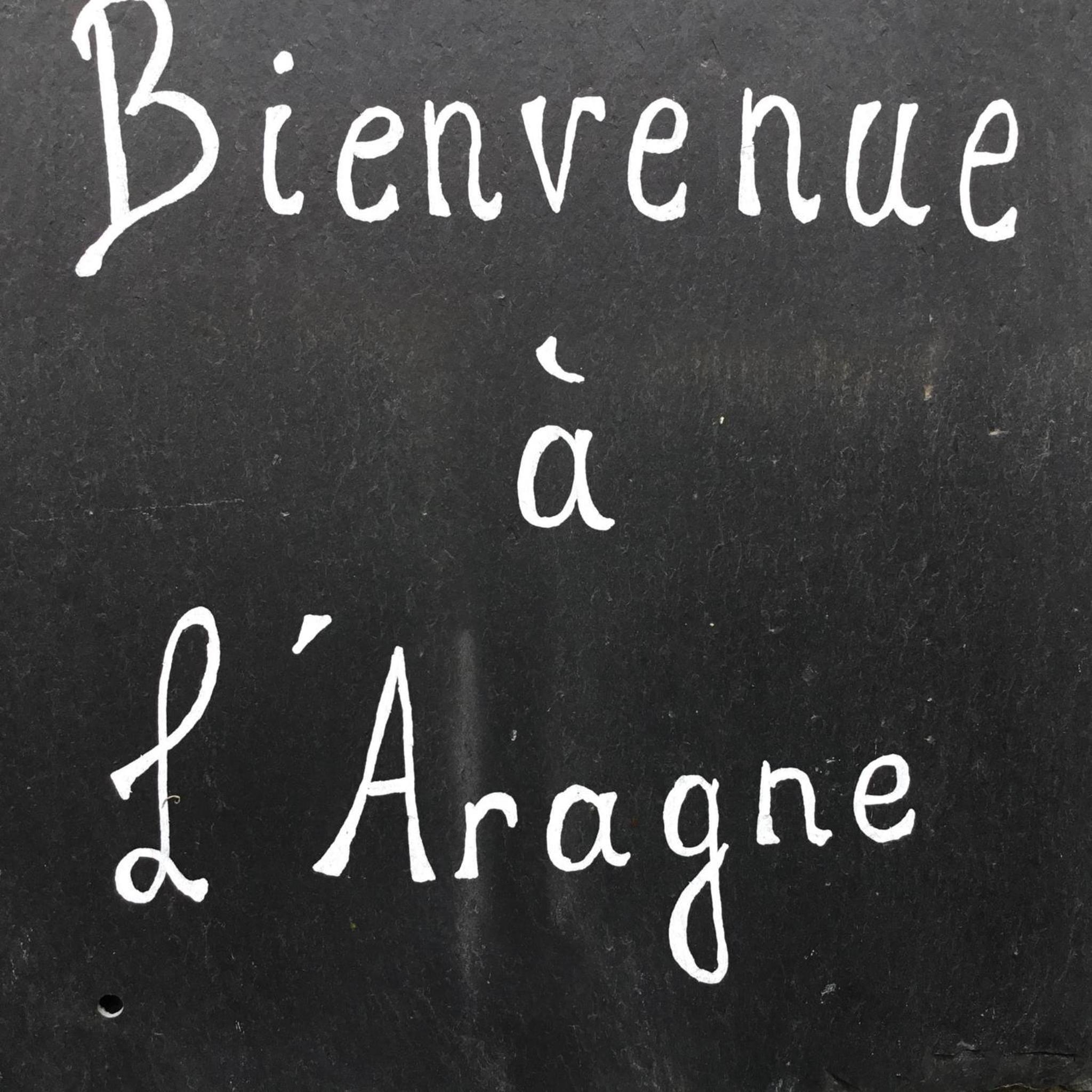L’Aragne