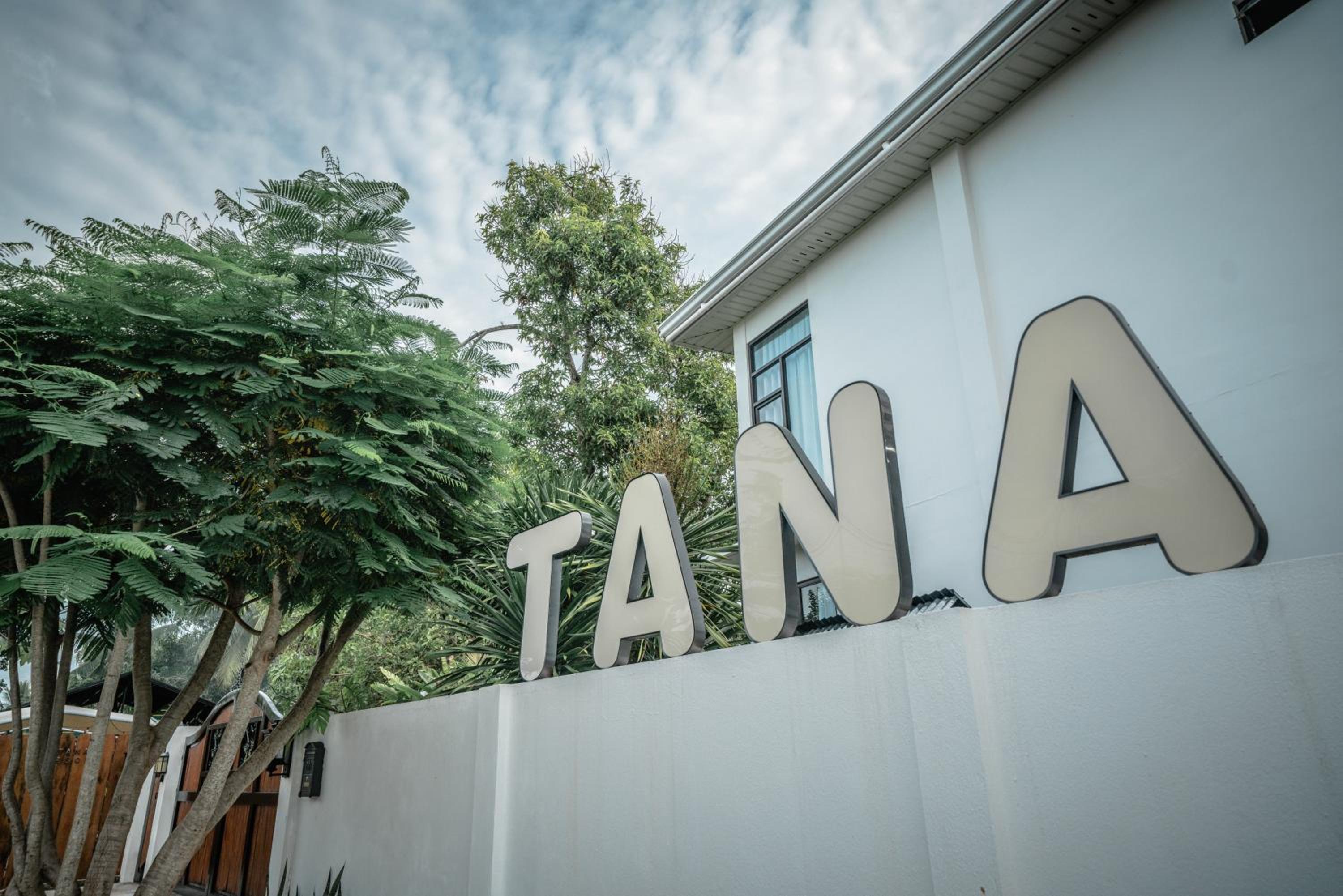 Tana Mysterious garden view 4