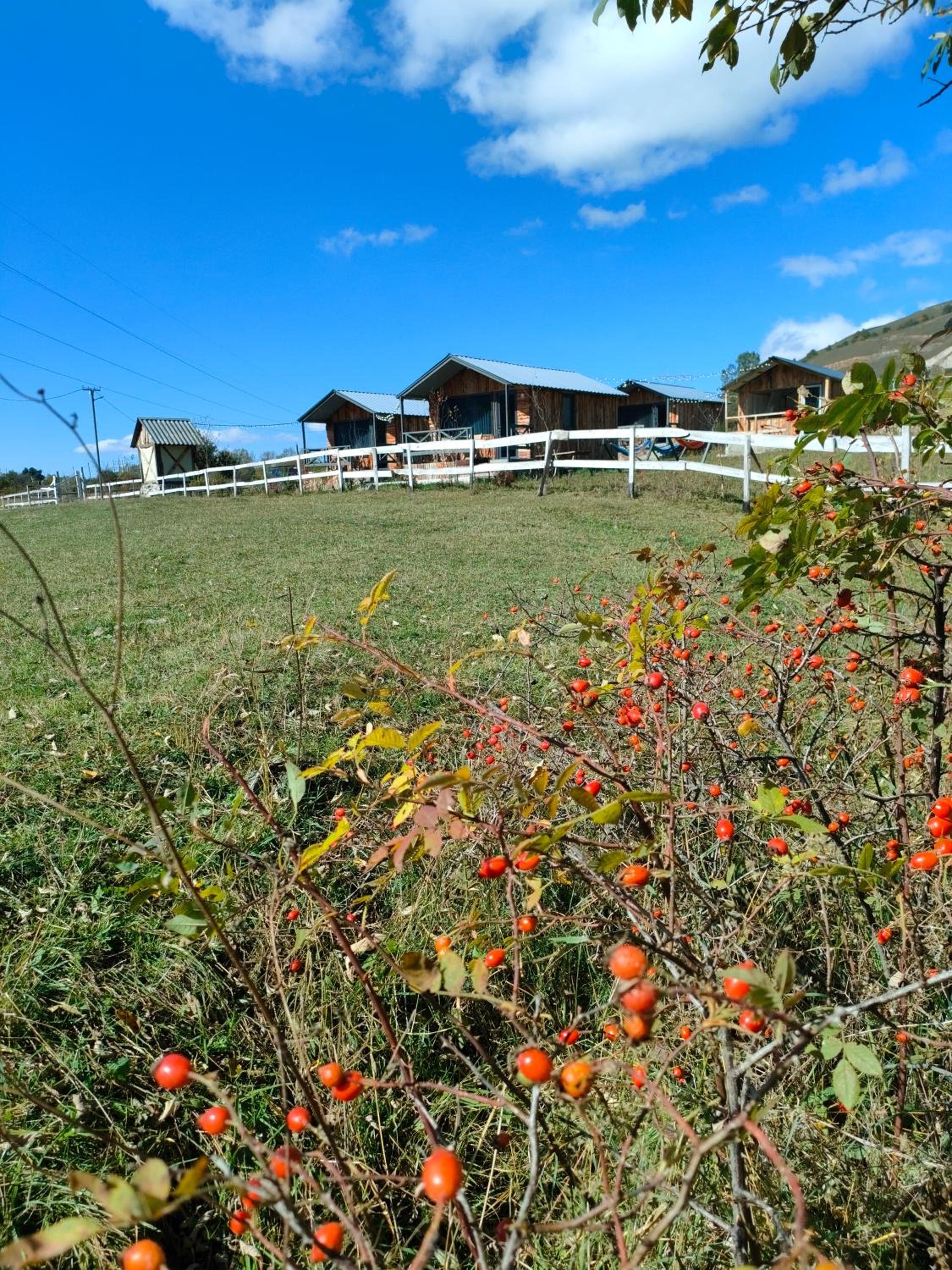 MATEVOSYAN`S Rest House