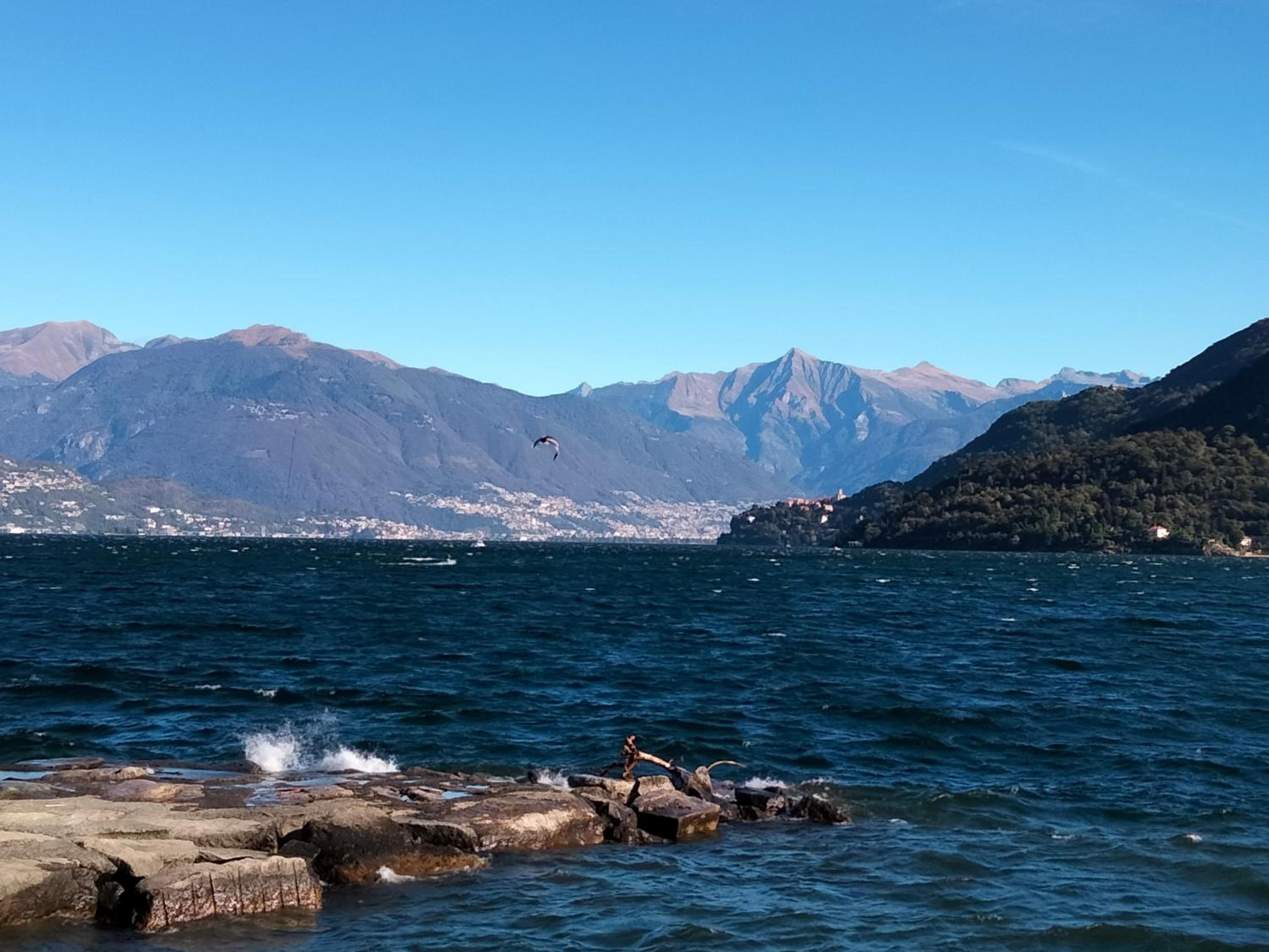 Appartamento AZZURRO
