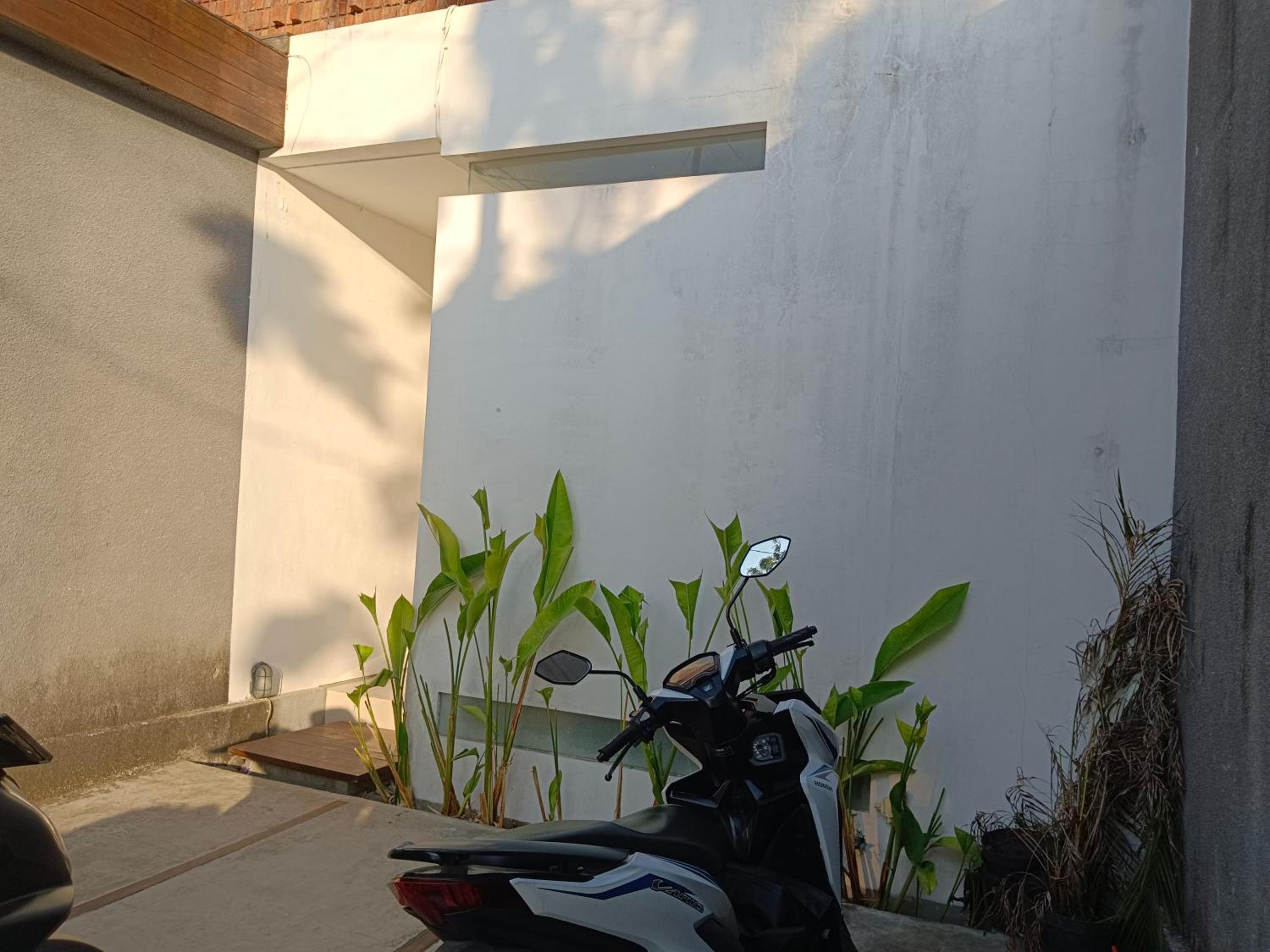 Photo 38