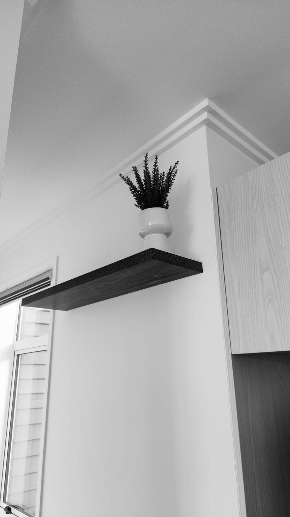 Plush 3 bedroom property in Hobsonville