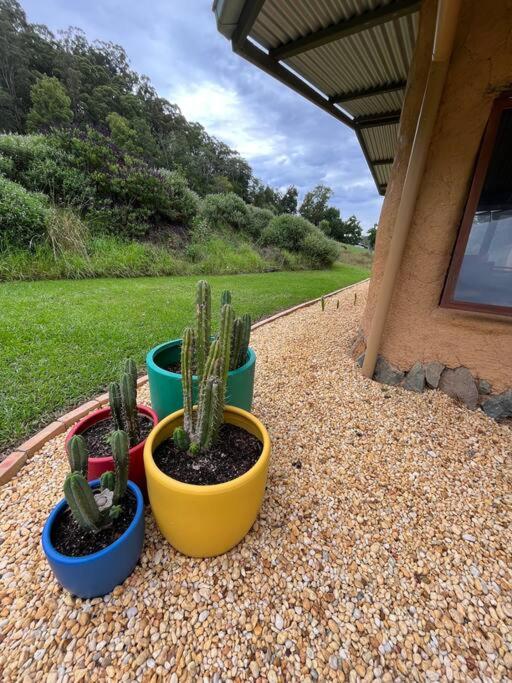Off Grid Cob Home