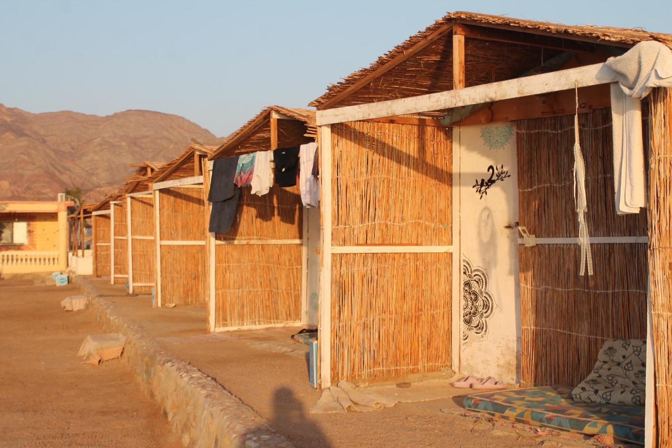 Alwaha Camp