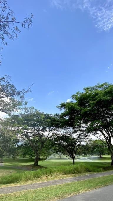 dhozt Mesa De Yeguas, Anapoima.