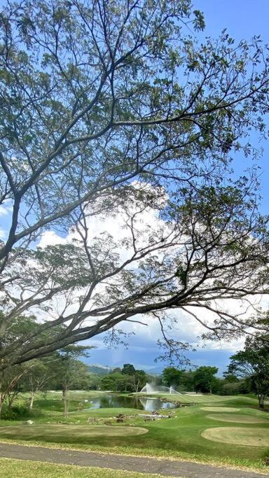 dhozt Mesa De Yeguas, Anapoima.