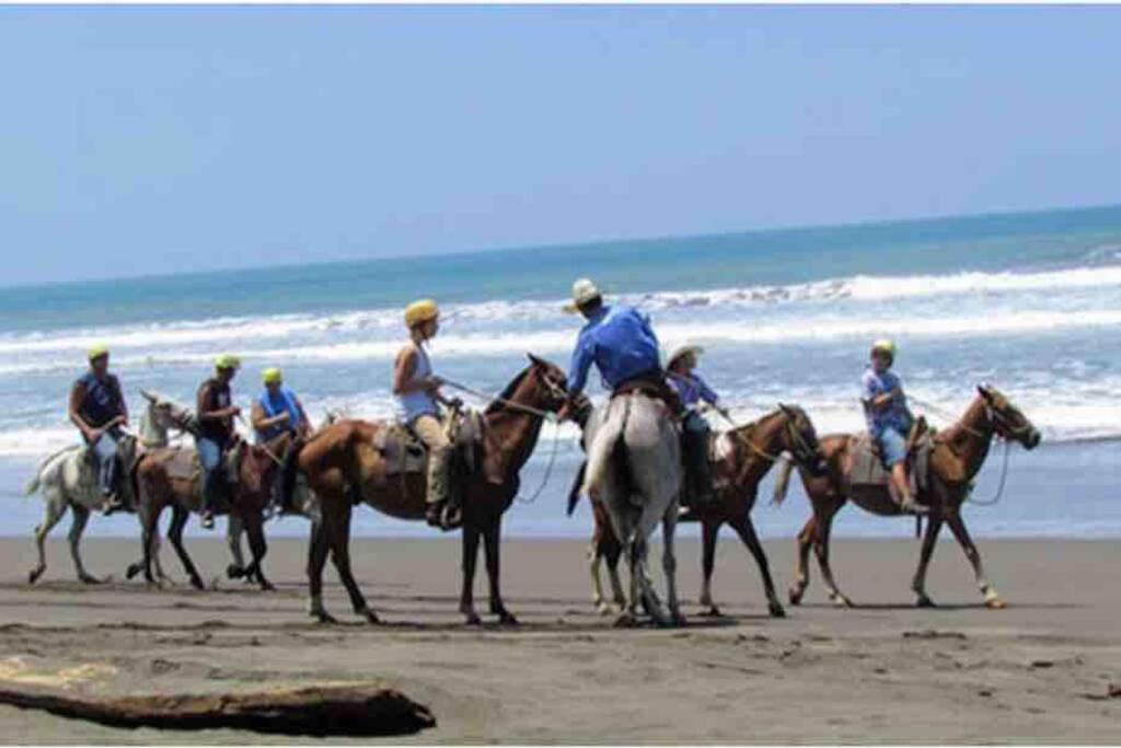 dhozt Marlinda Beach House. Cartagena Colombia