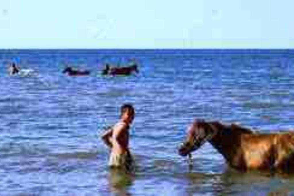 dhozt Marlinda Beach House. Cartagena Colombia