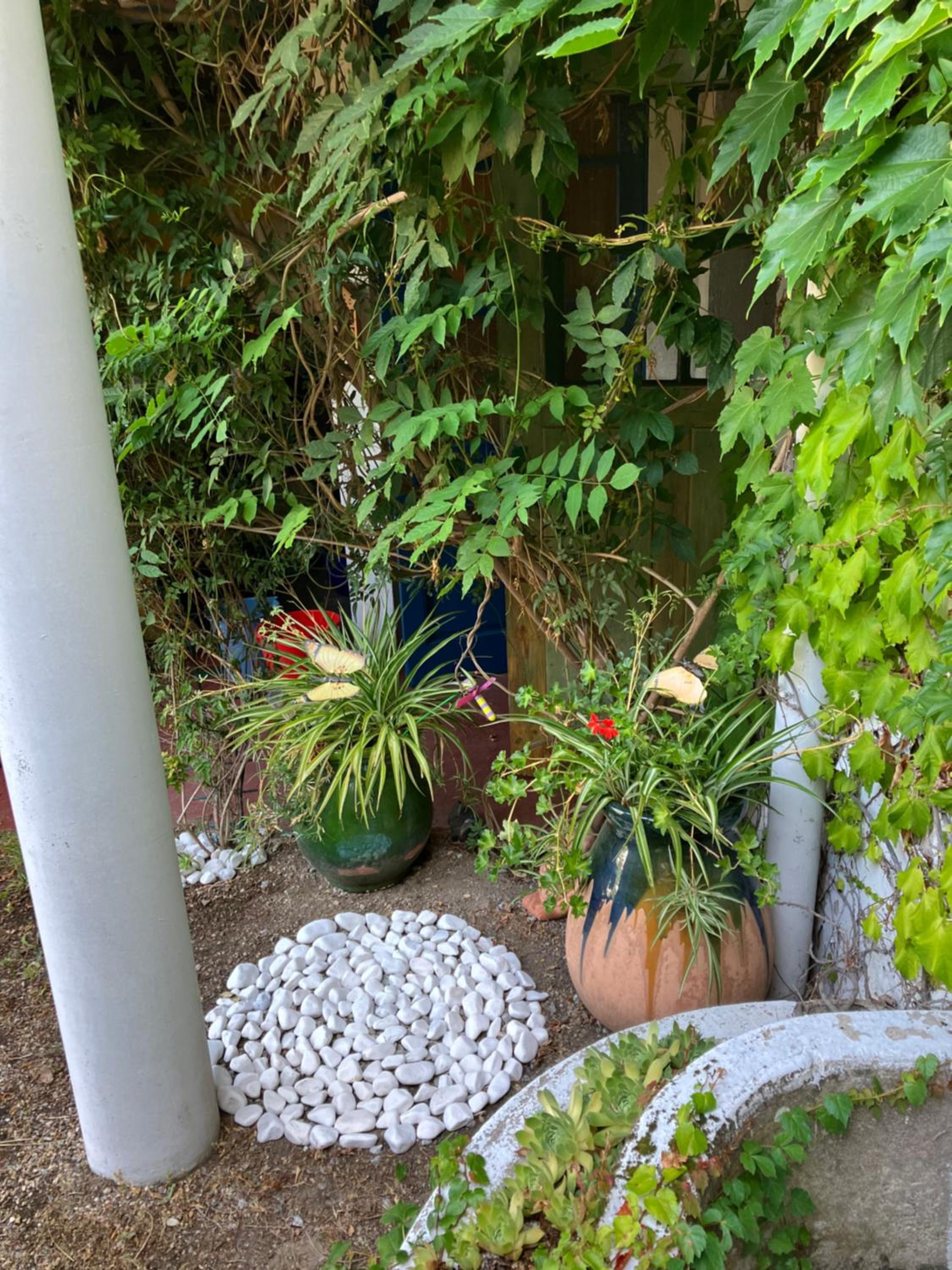 Photo 18