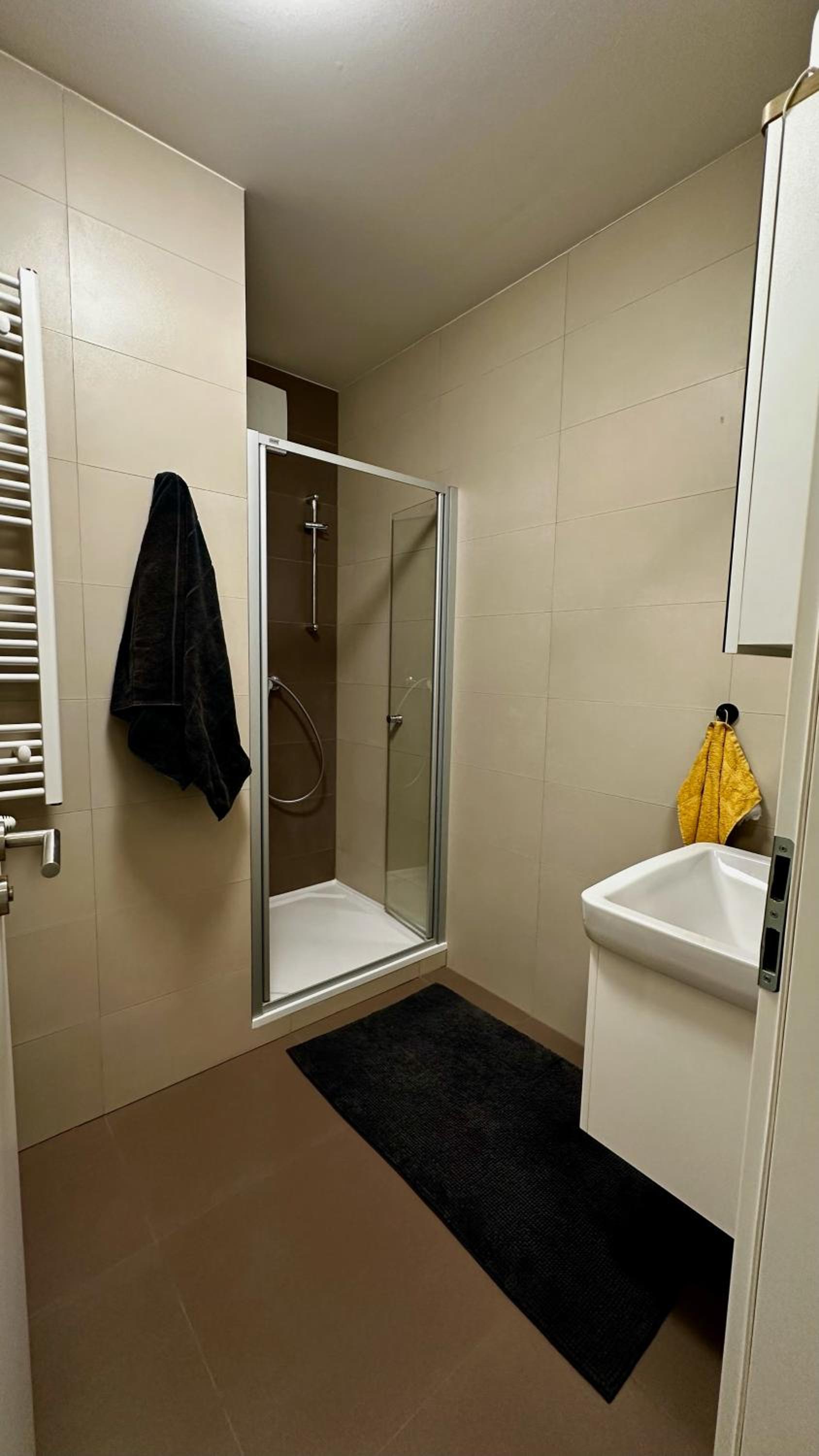 LUX RADNICA appartment center- free parking view 5