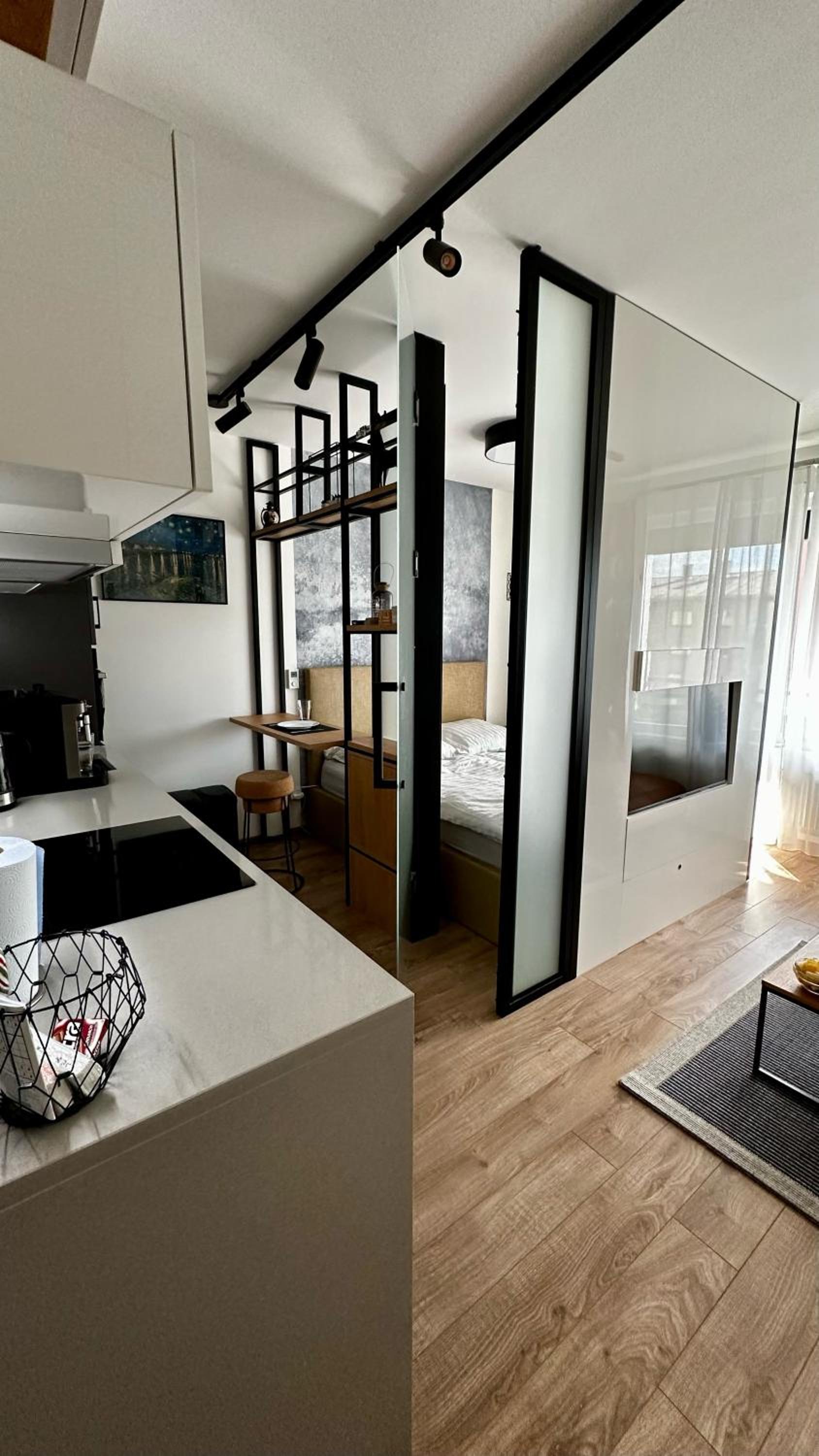 LUX RADNICA appartment center- free parking view 4