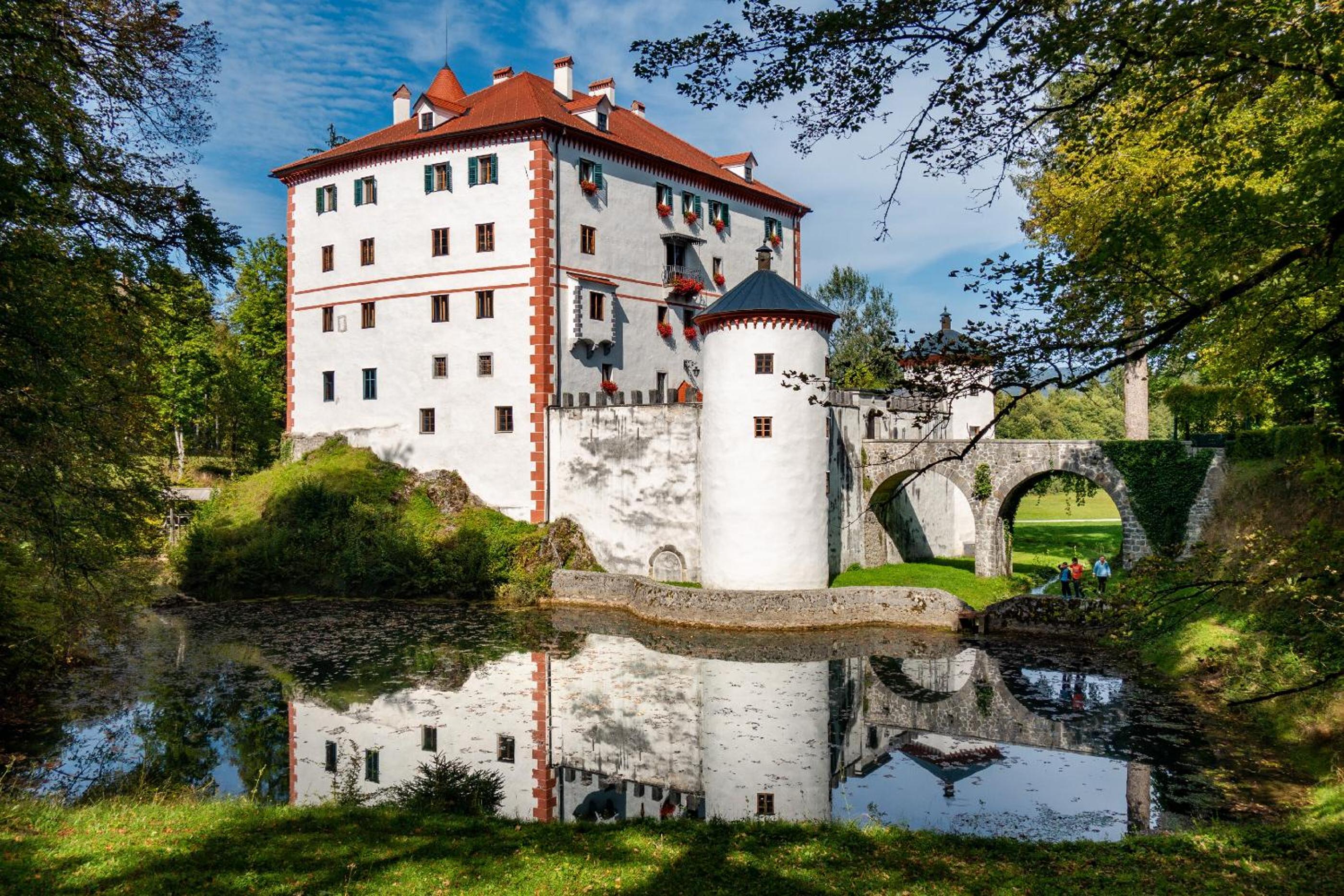 Cherry house - cosy house - ideal for bear watching, in the neighborhood of the medieval Snežnik castle view 5