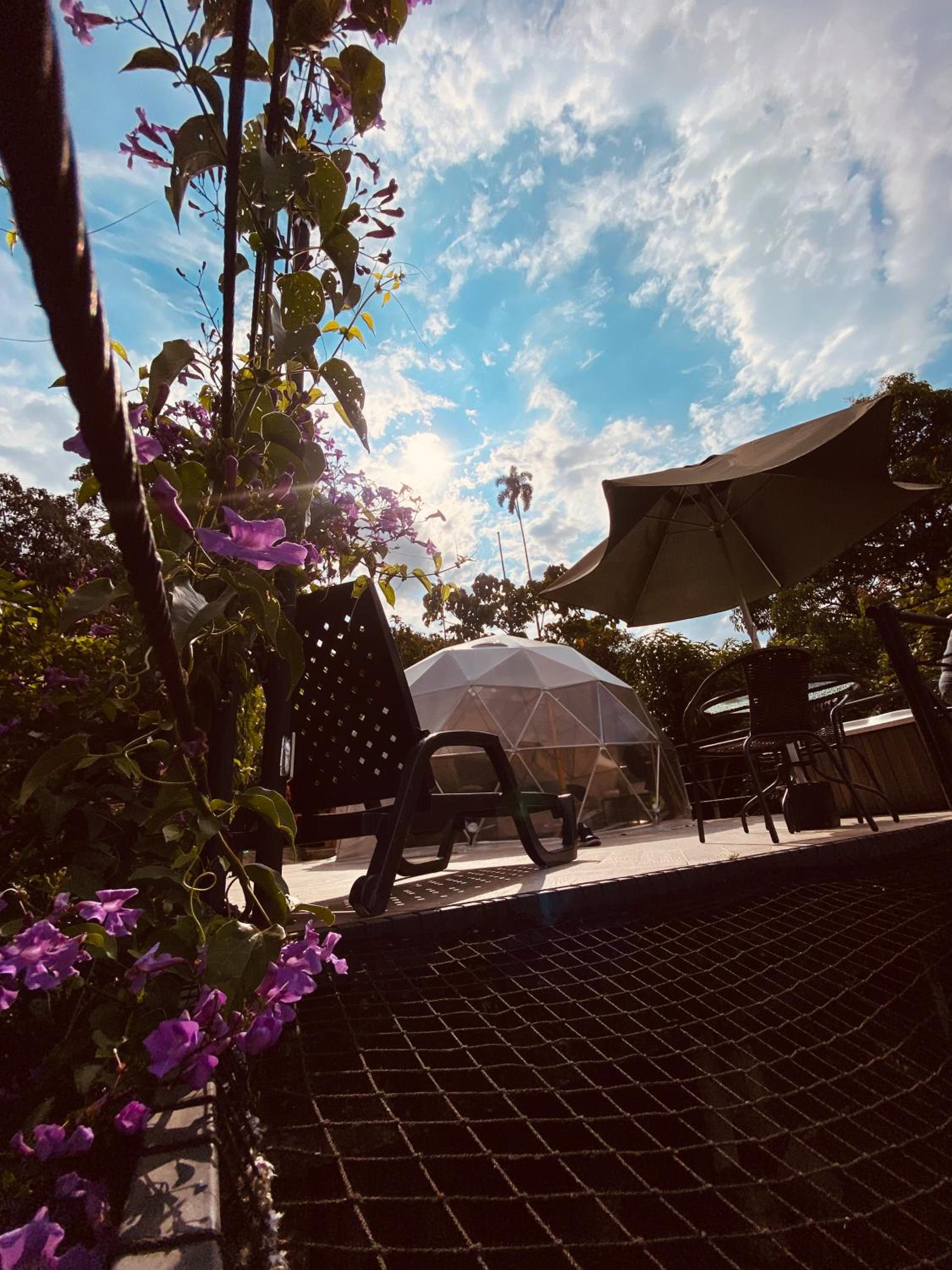 GLAMPING EL PARAÍSO view 5