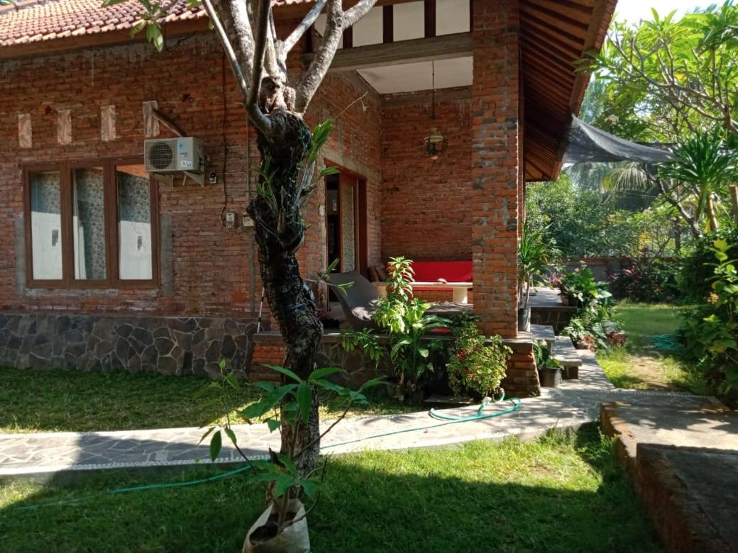 Photo 11