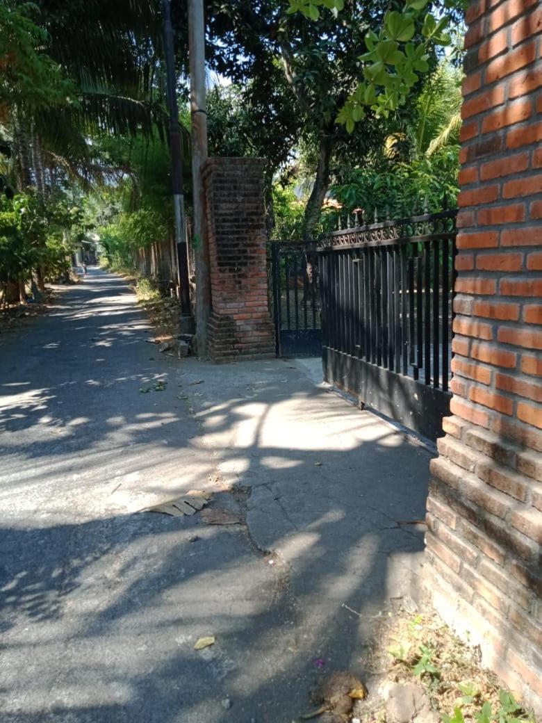 Photo 15