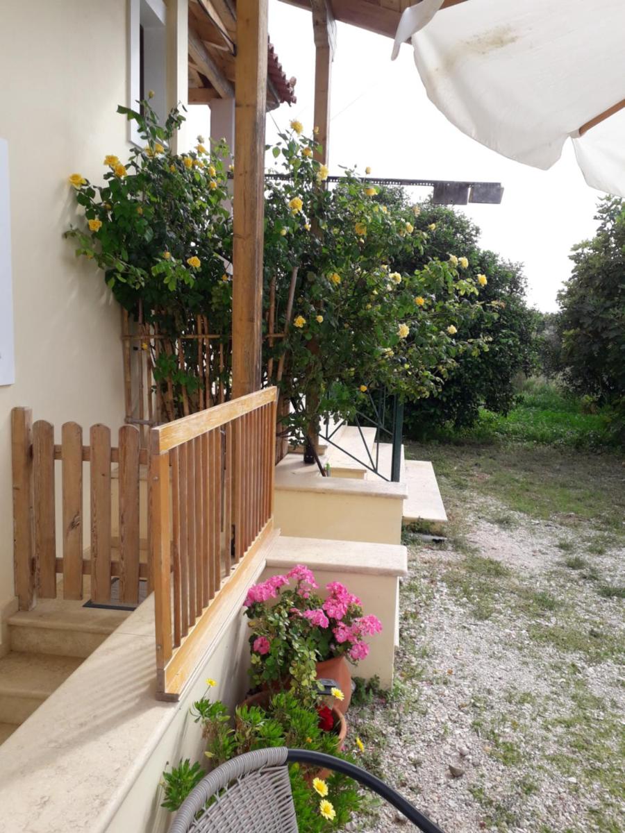 Eugenia's Apartment view 2