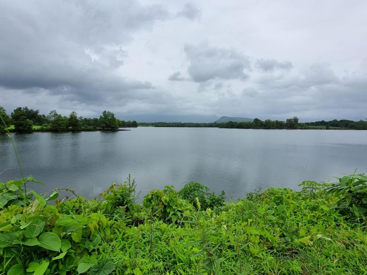 Photo 44