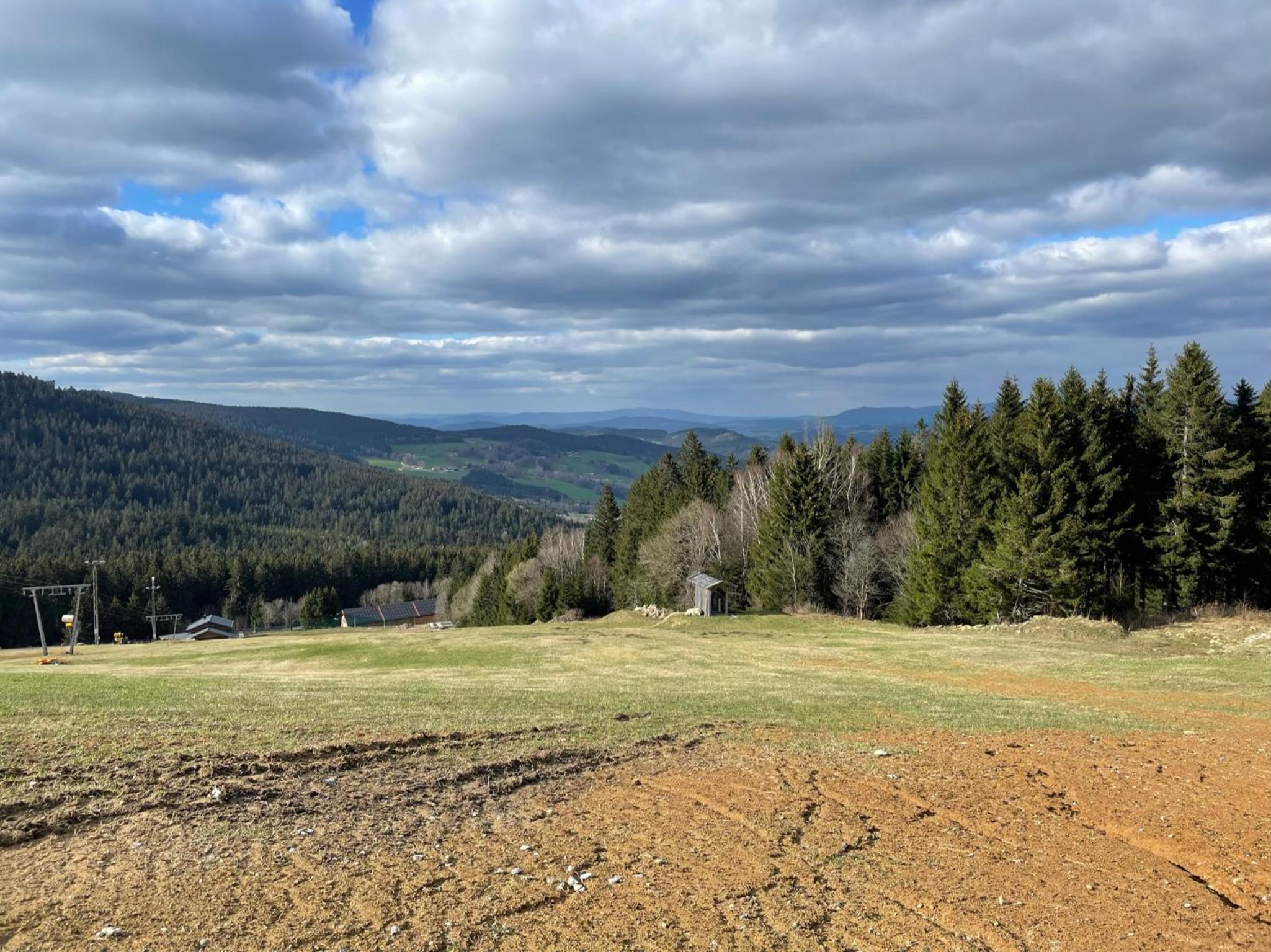 Wildwood Lodge Ferienwohnung mit Wellness