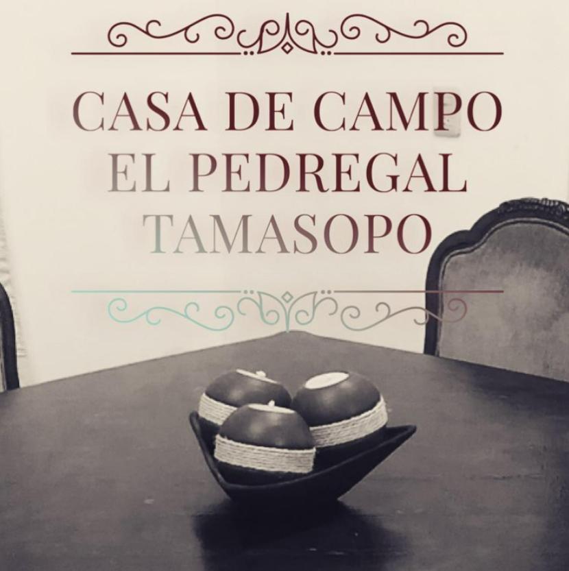 Casa el Pedregal