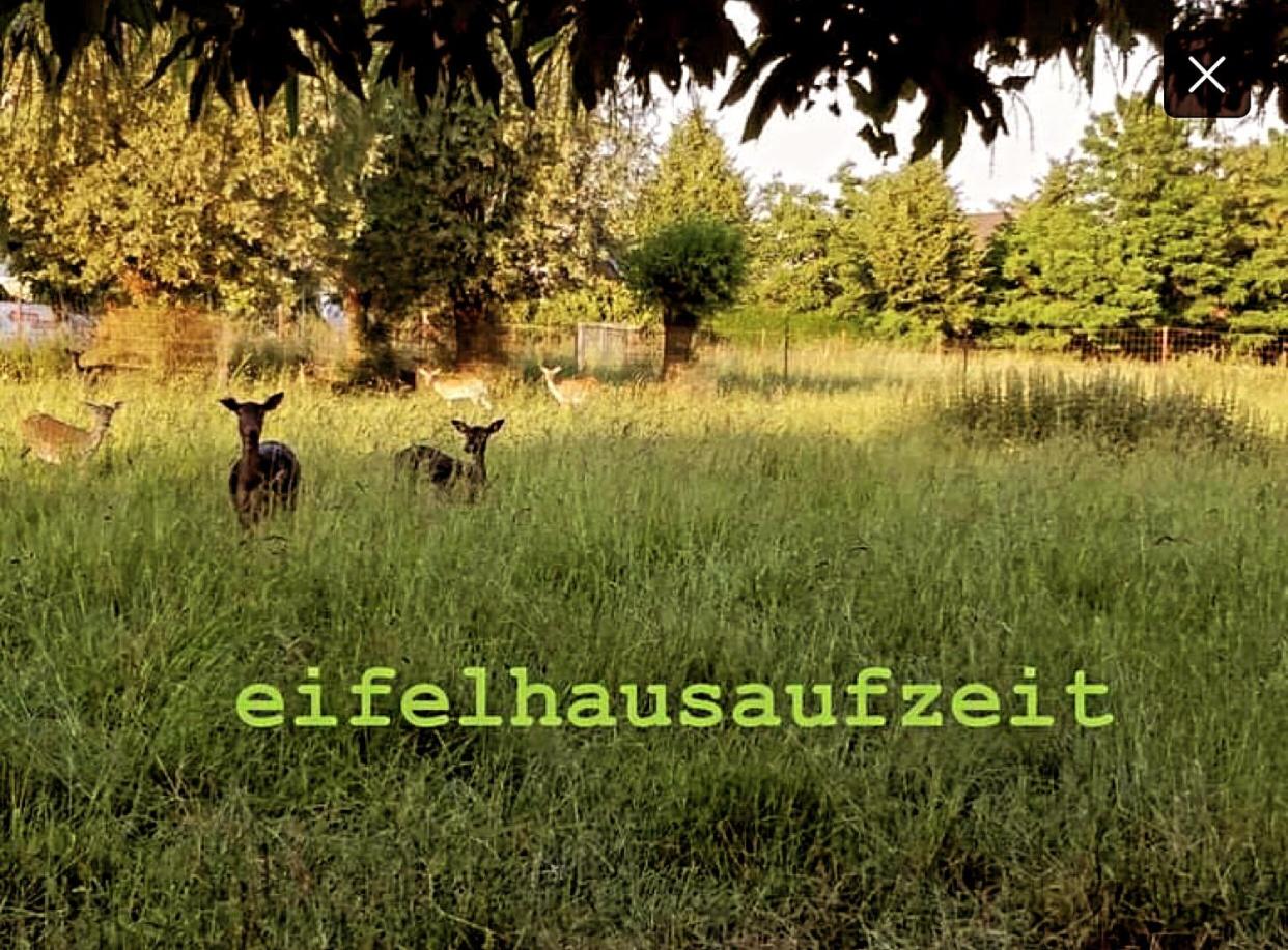 Modernes, ökologisches Design Ferienhaus in der Eifel Vulkaneifel I 2 Schlafzimmer, Sauna, Yoga & Kaminofen, schnelles WLAN & Arbeitsplatz