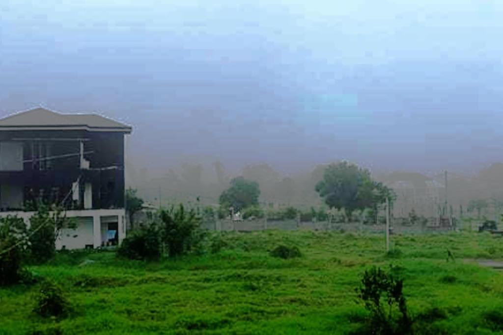 Photo 45