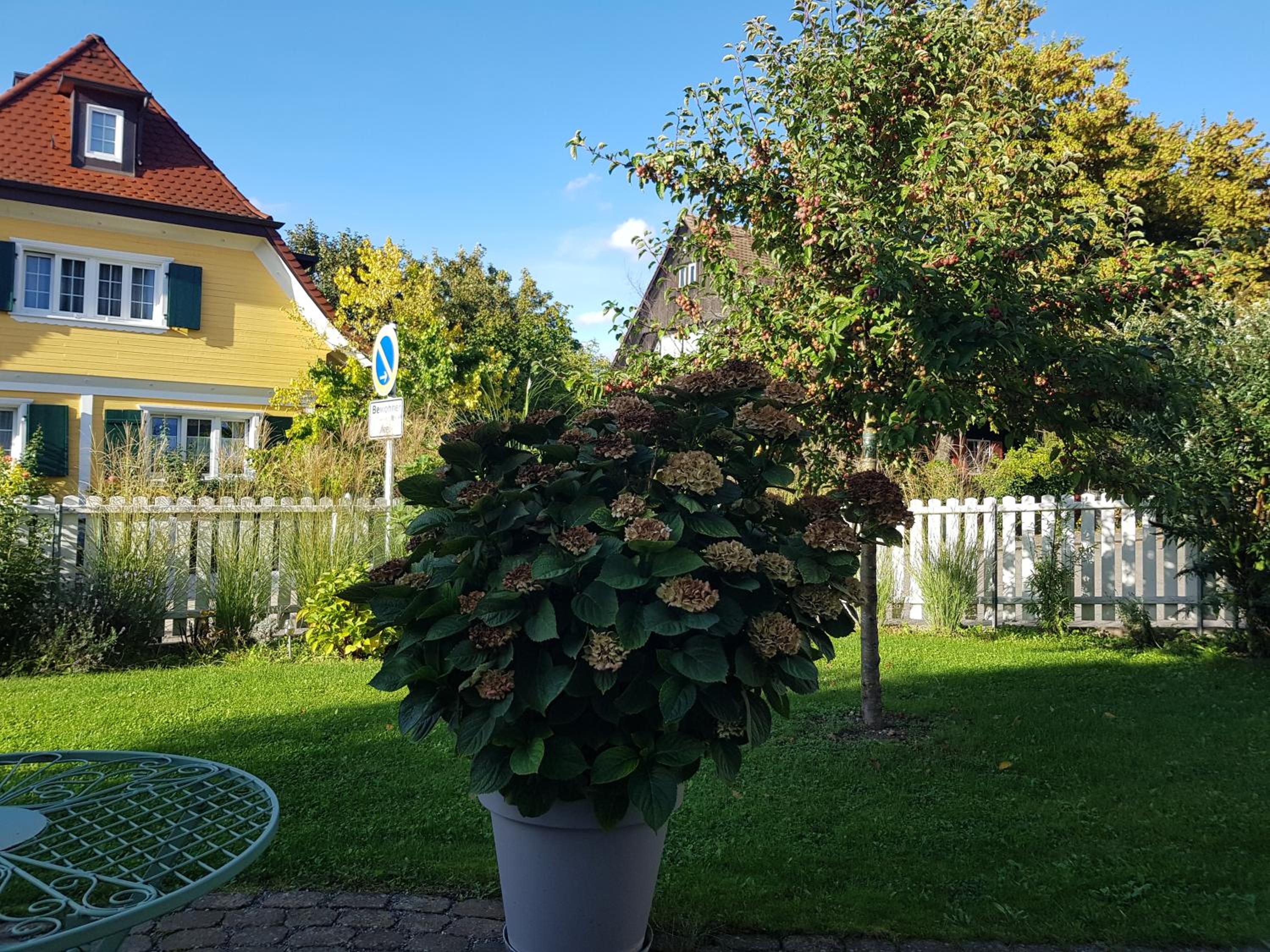 Fewo Simone - Überlingen City - view 4