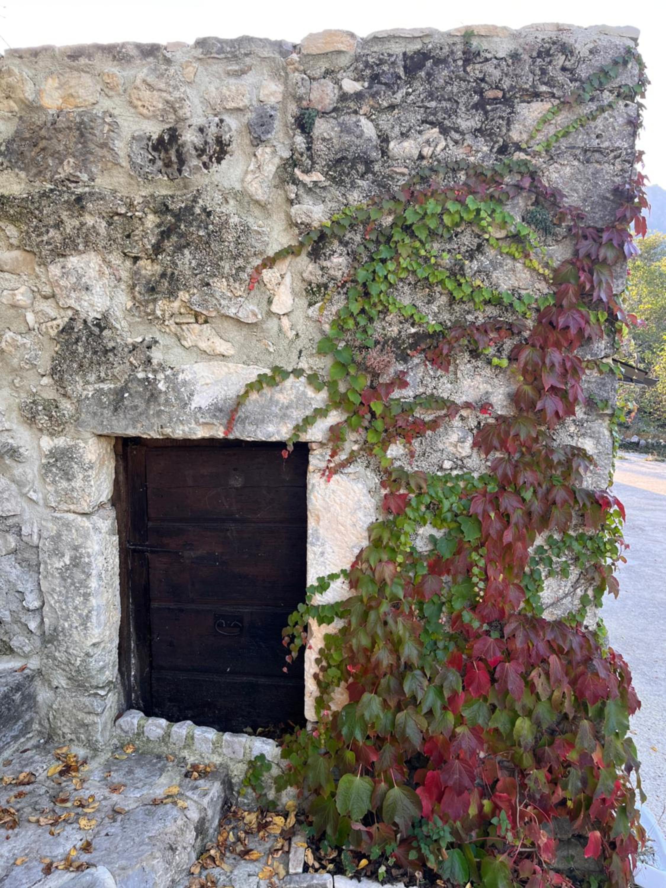 Photo 22