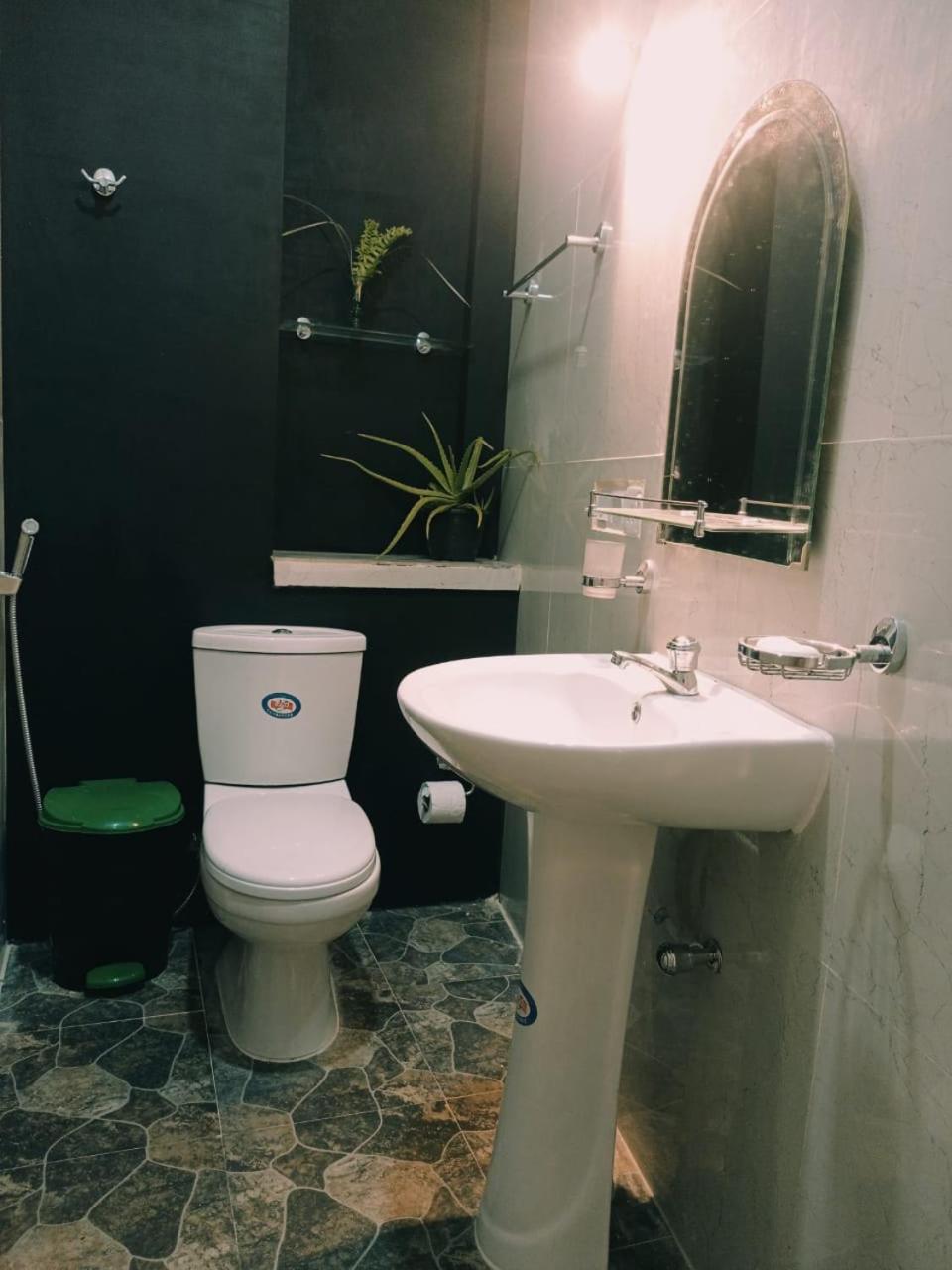 Dev House