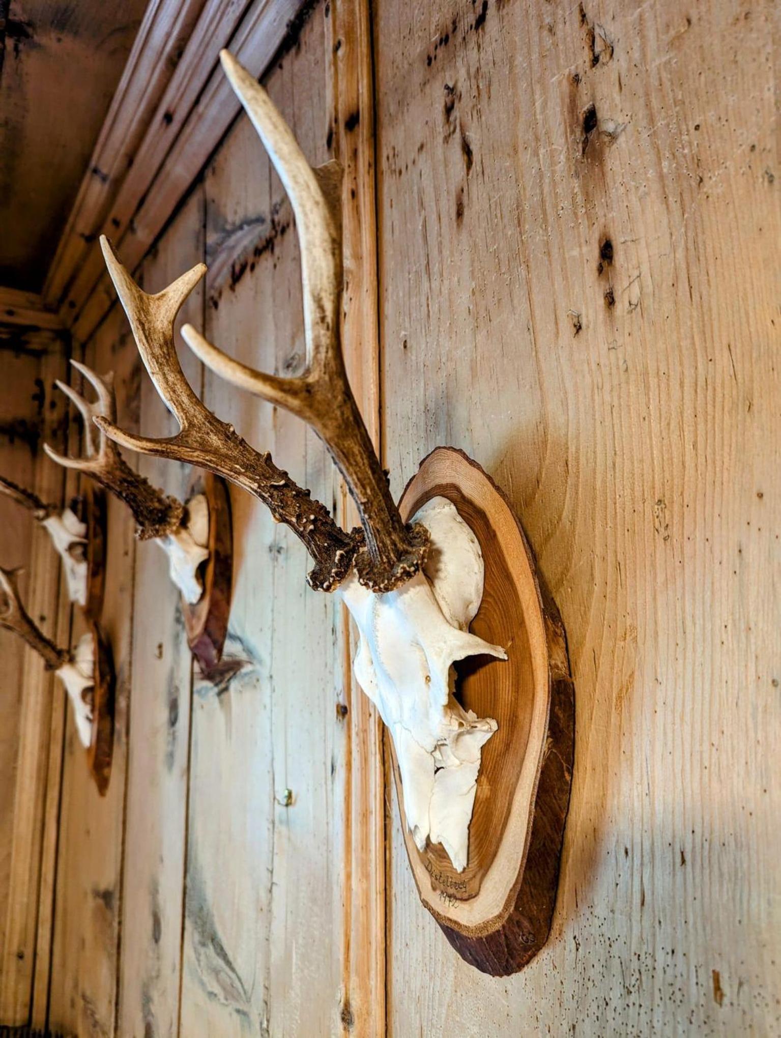 Chalet Gumperhof