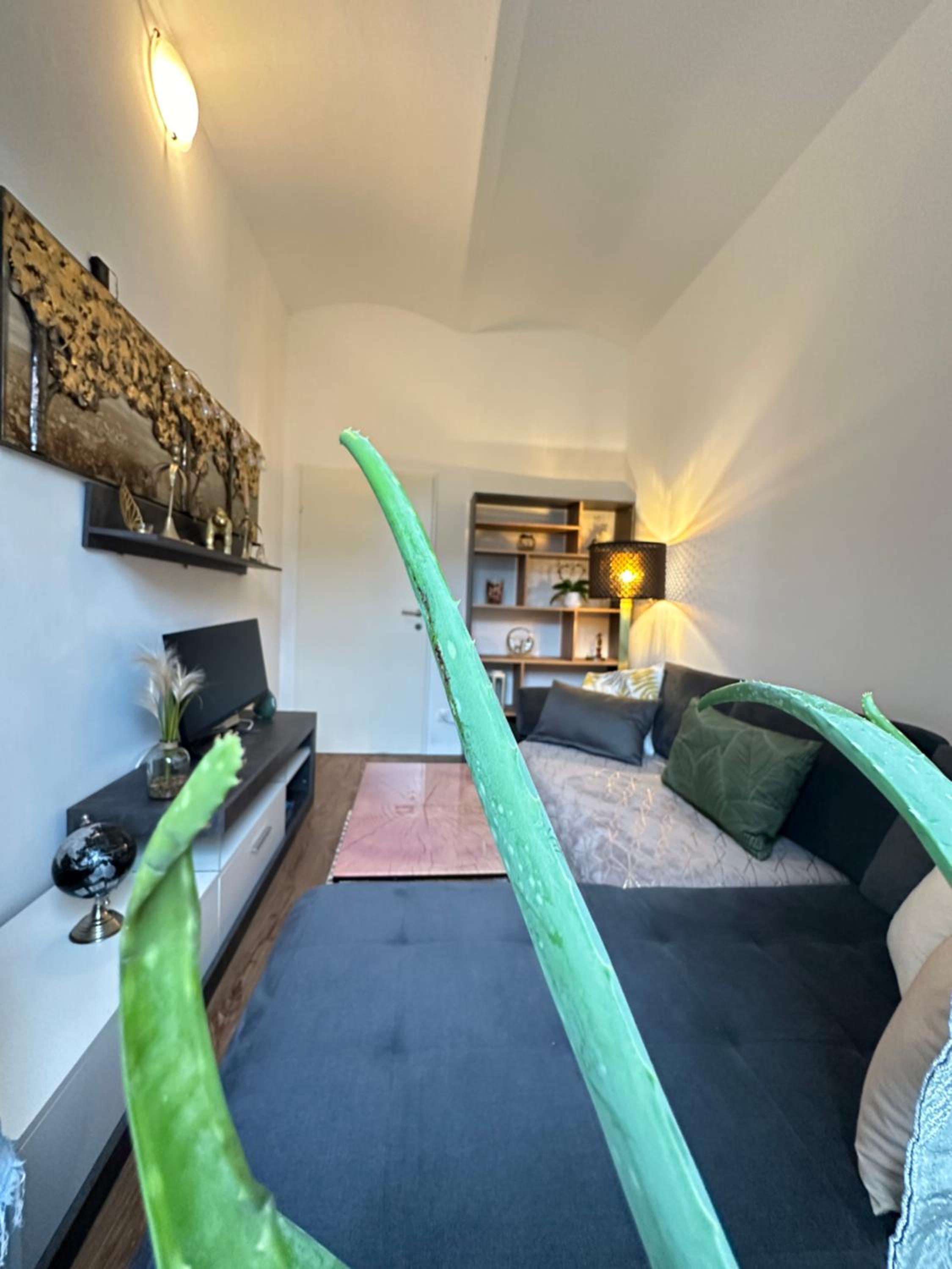 Ferienwohnung Marion Klagenfurt zentrumsnähe