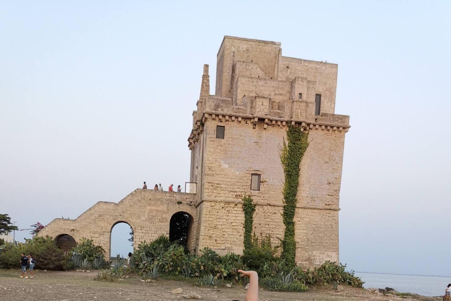 Photo 19