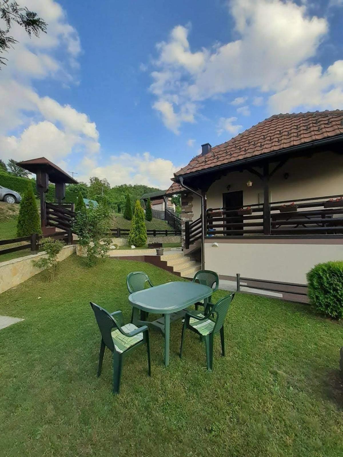 Kuca za odmor Drina & Tara view 3