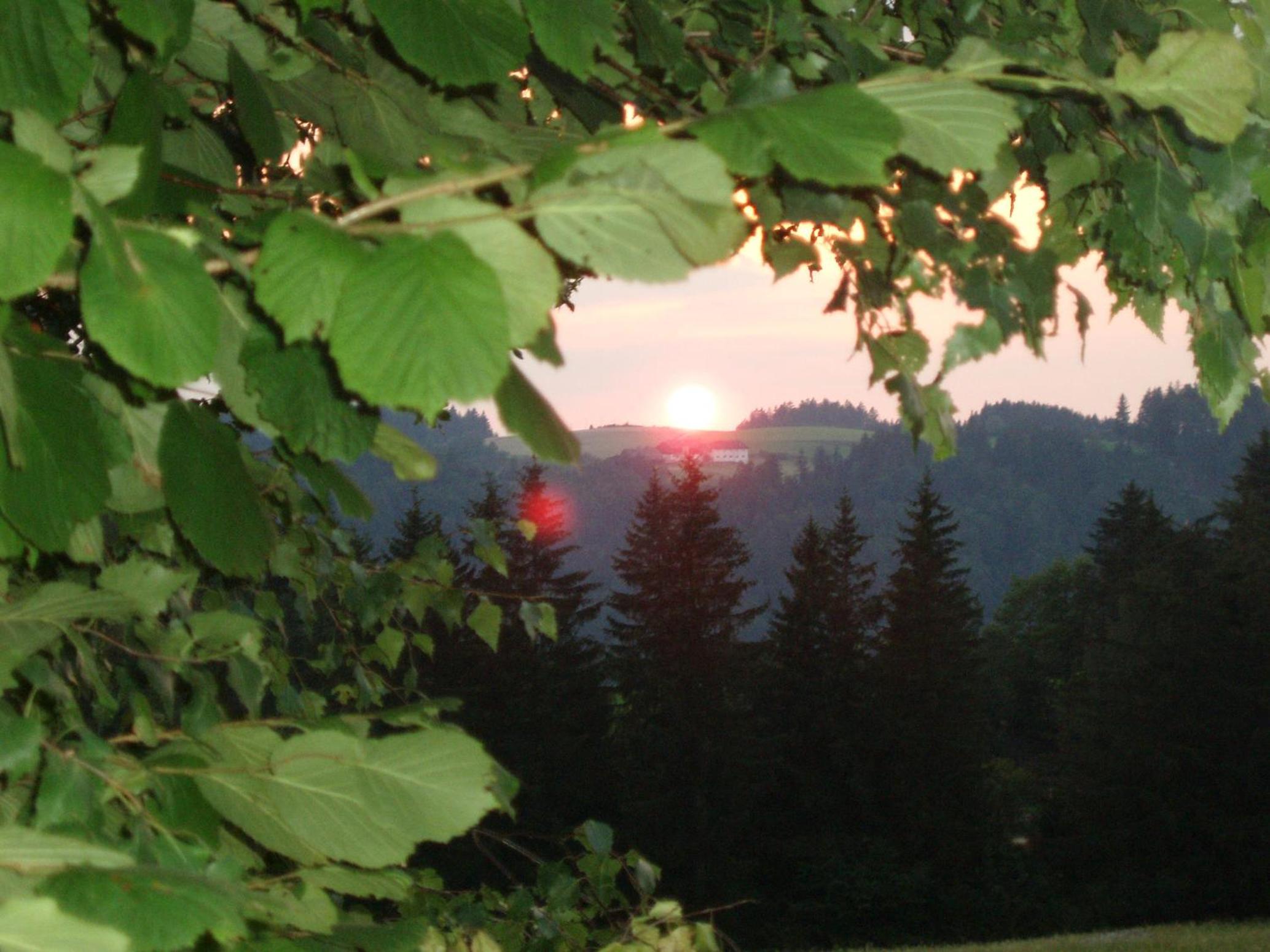 Angerhof