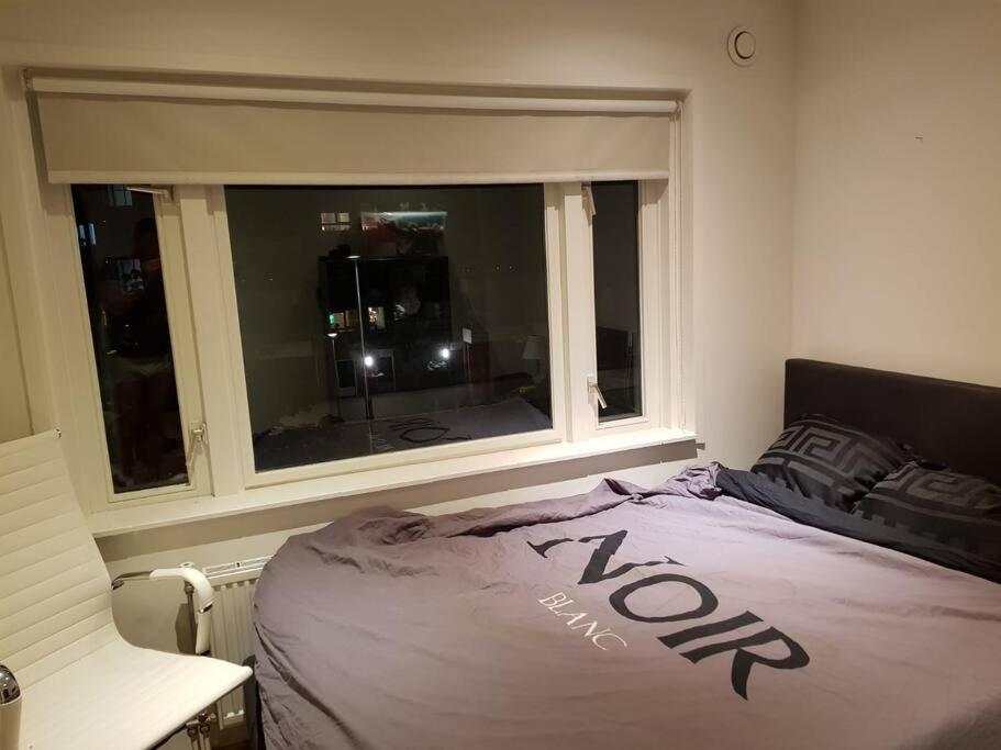 Luminous appartment - Juliana Park free parking view 2