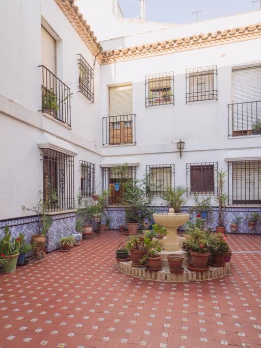 Mezquita premium