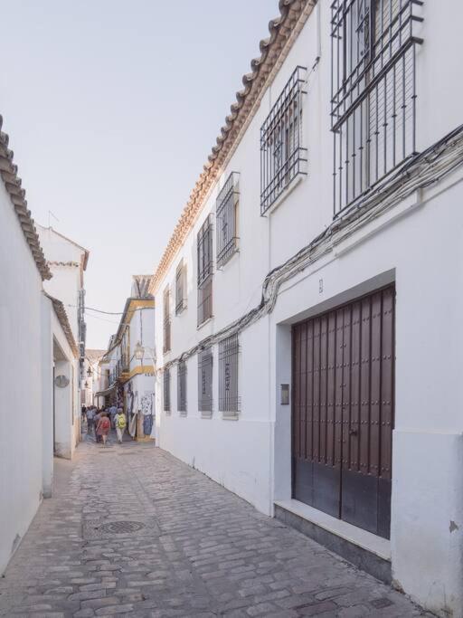 Mezquita premium