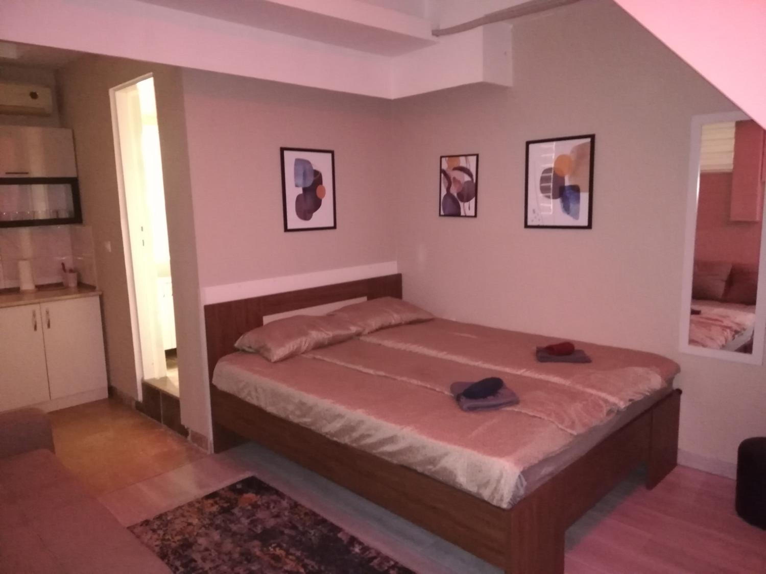 Blue Carpet Rooms view 2
