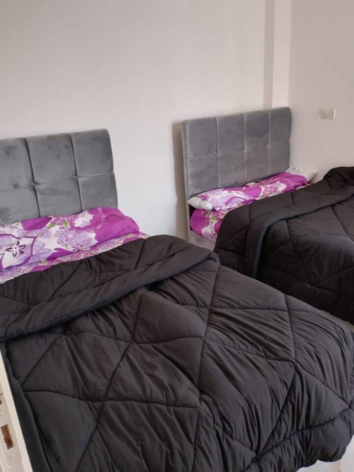 New and comfortable apt in madinaty compound